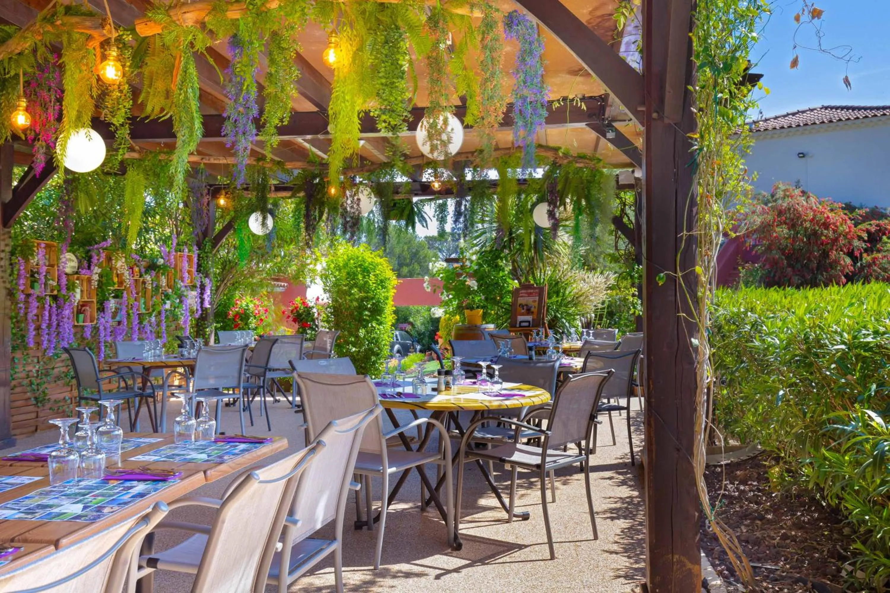 Les Pins Blancs en Provence