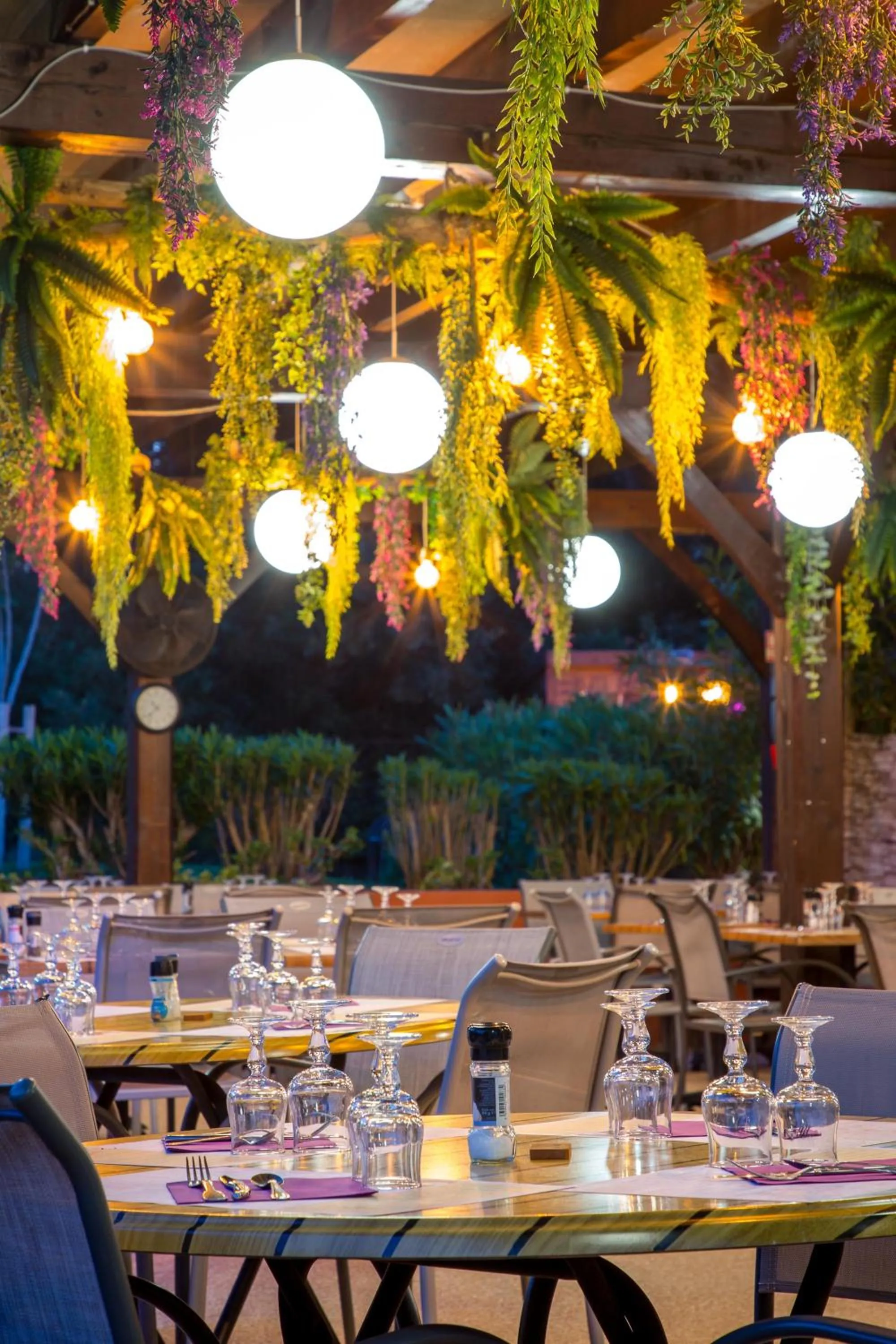 Les Pins Blancs en Provence