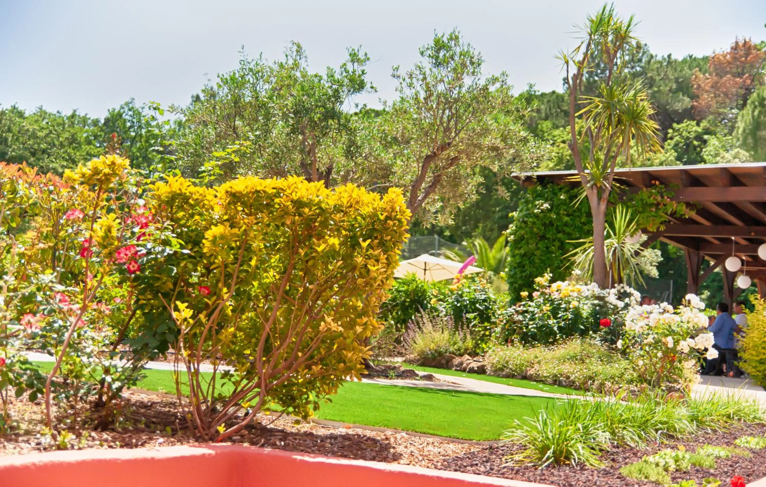 Garden in Les Pins Blancs en Provence