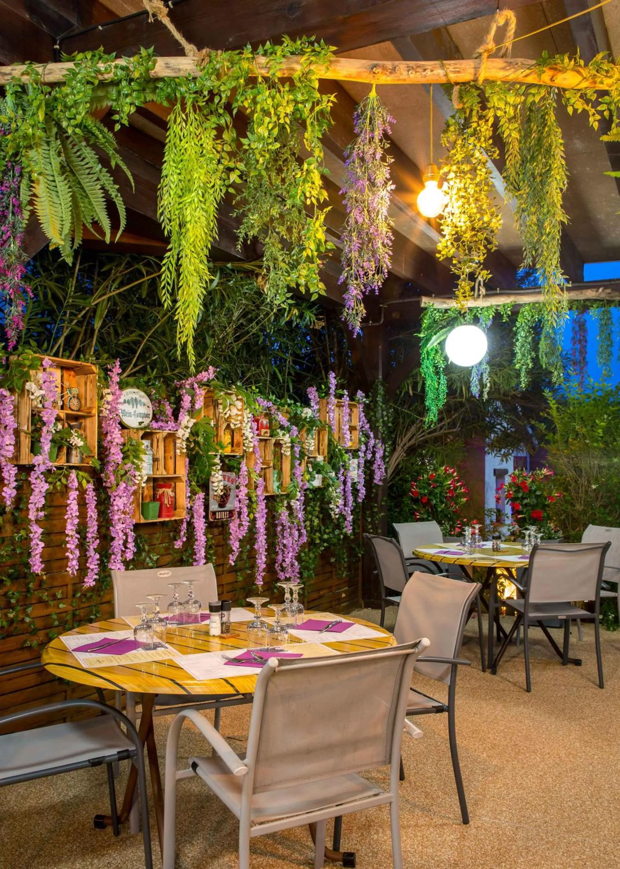 Les Pins Blancs en Provence