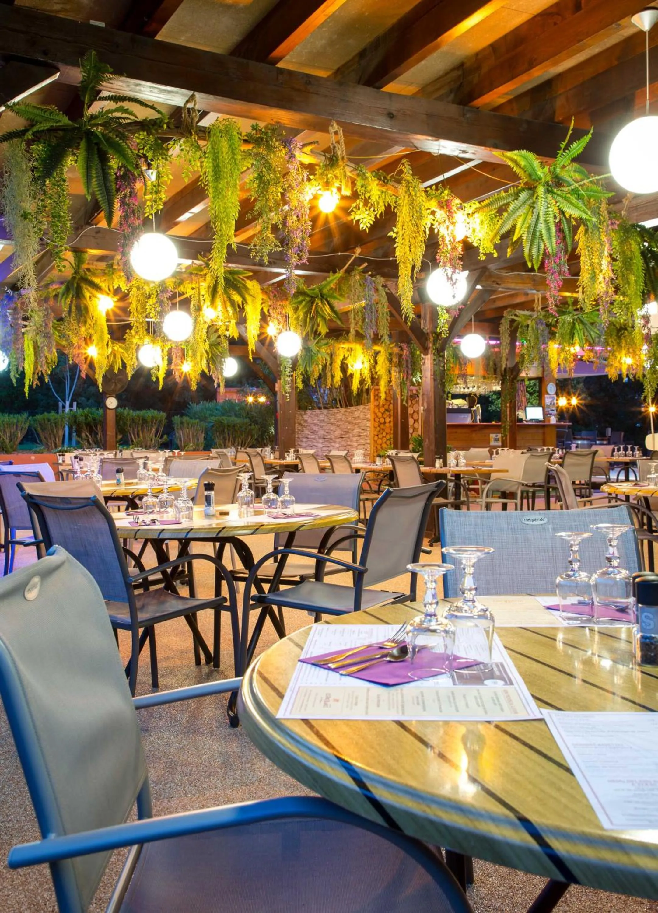 Les Pins Blancs en Provence