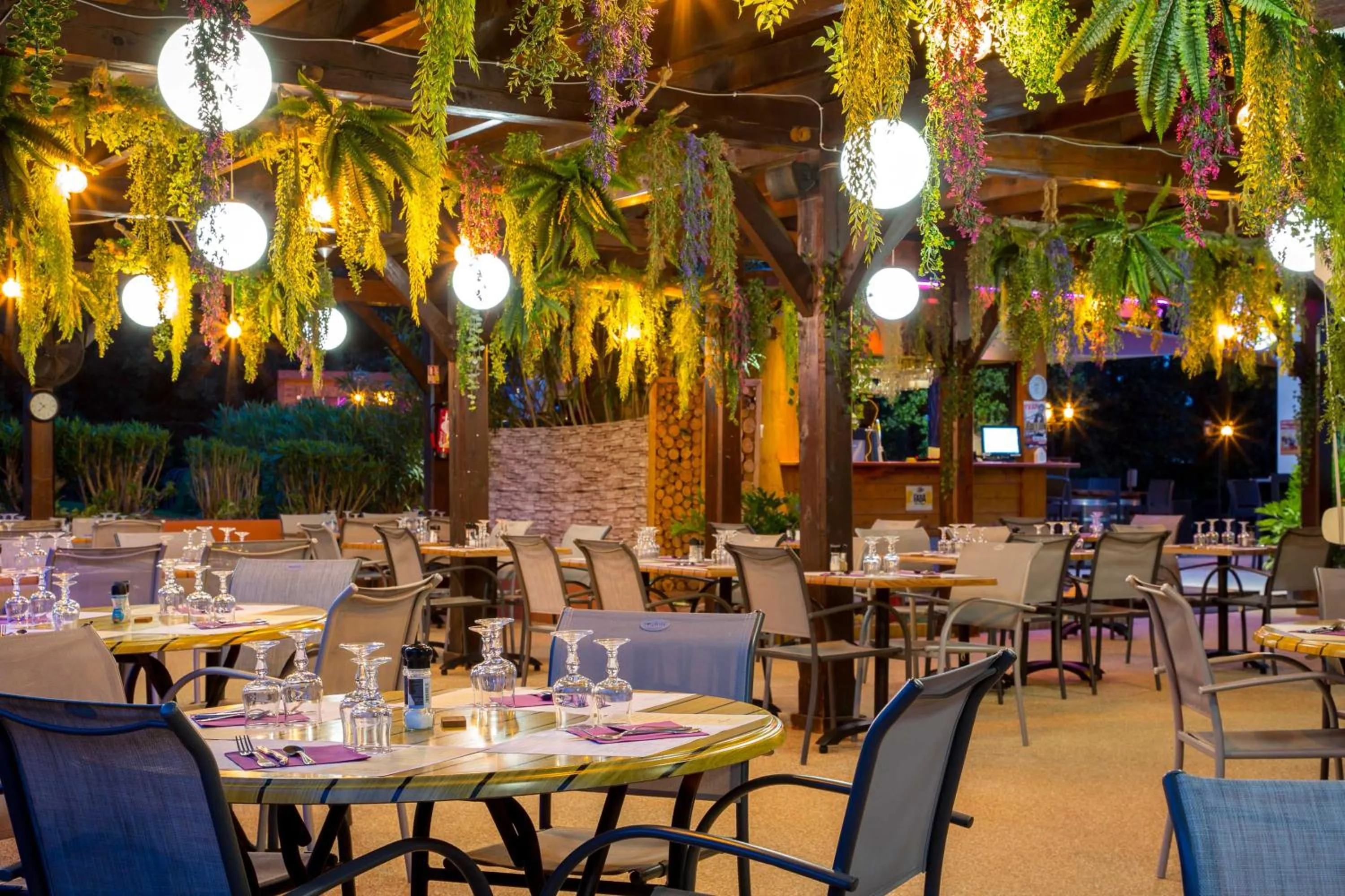 Les Pins Blancs en Provence