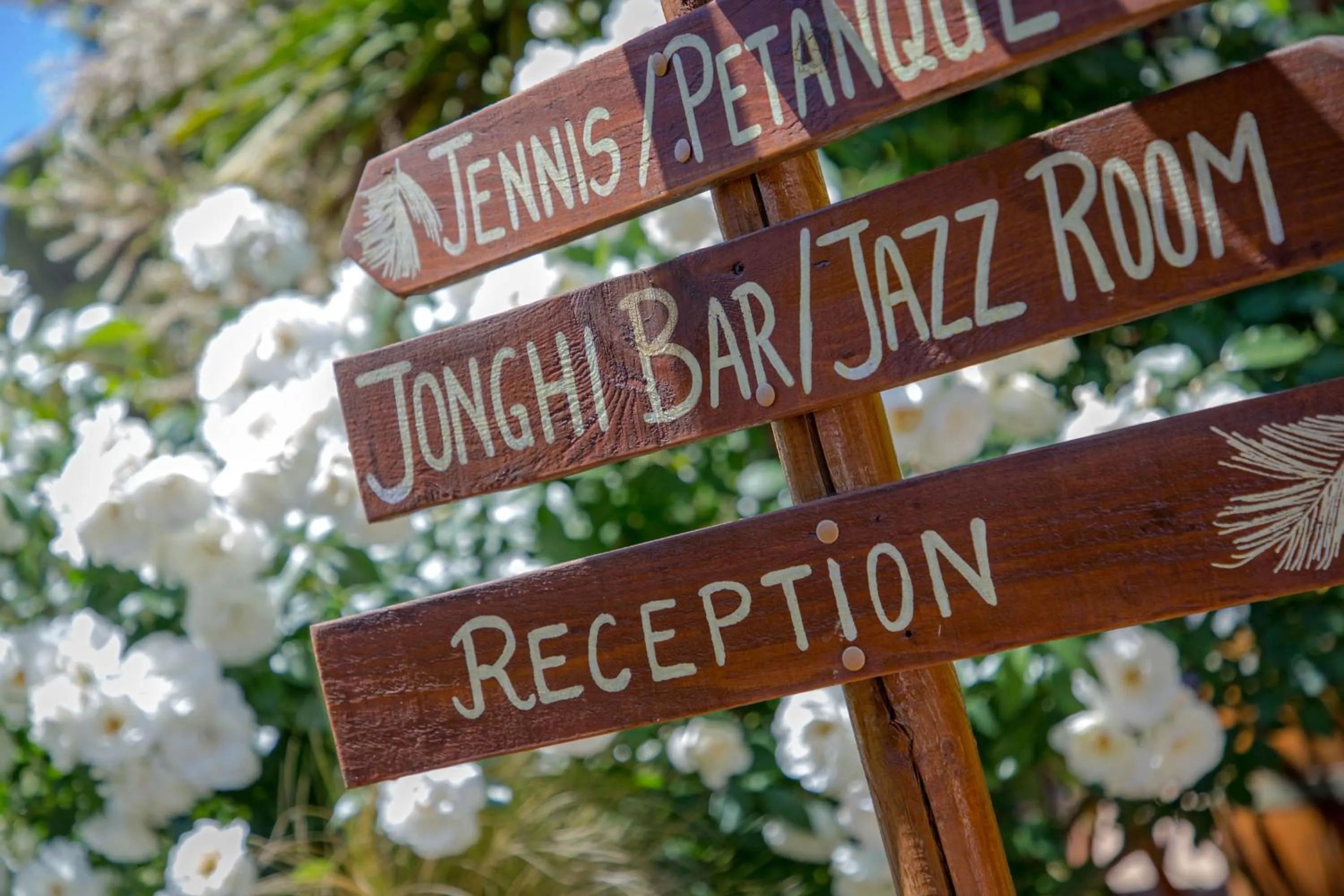 Les Pins Blancs en Provence