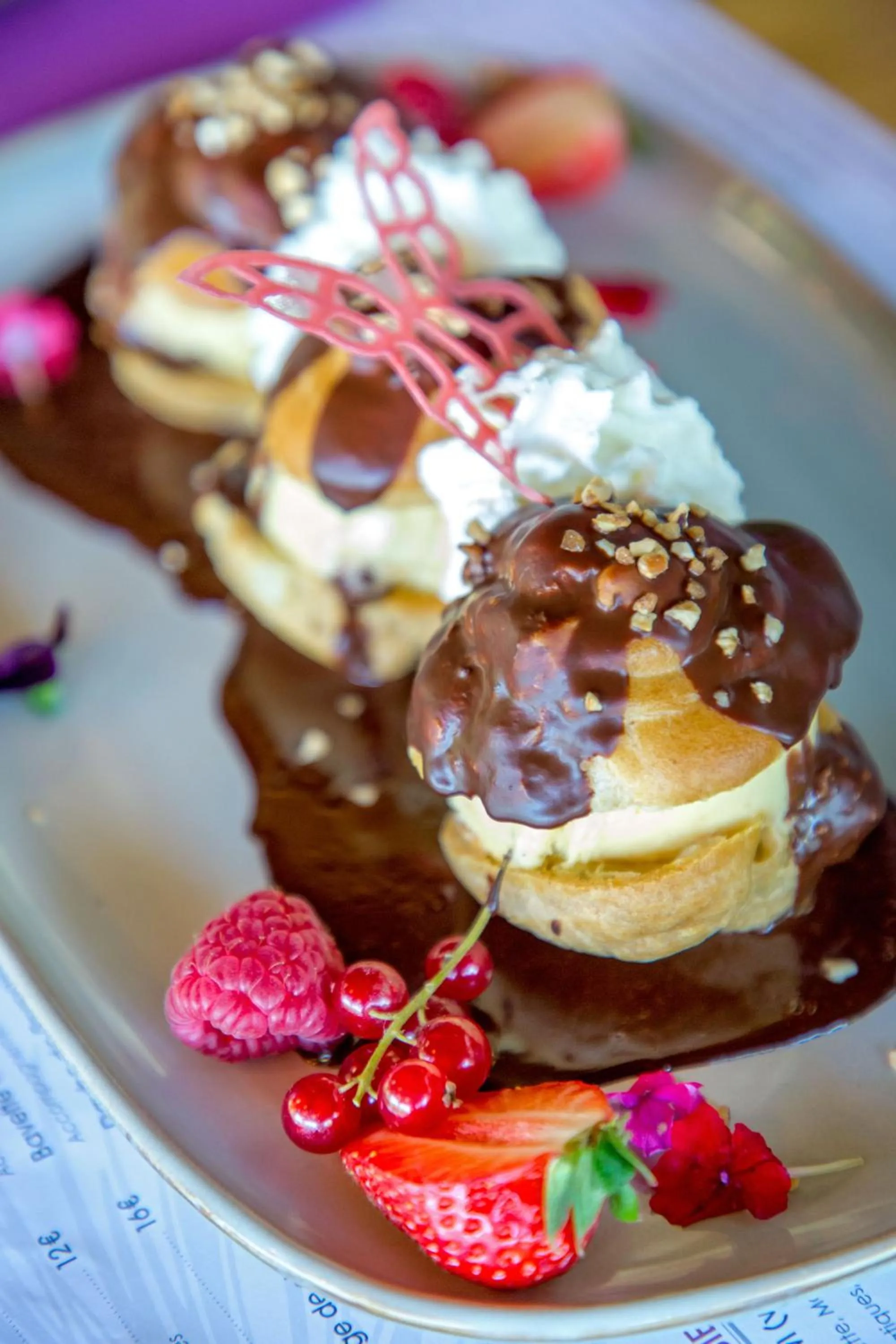 Les Pins Blancs en Provence