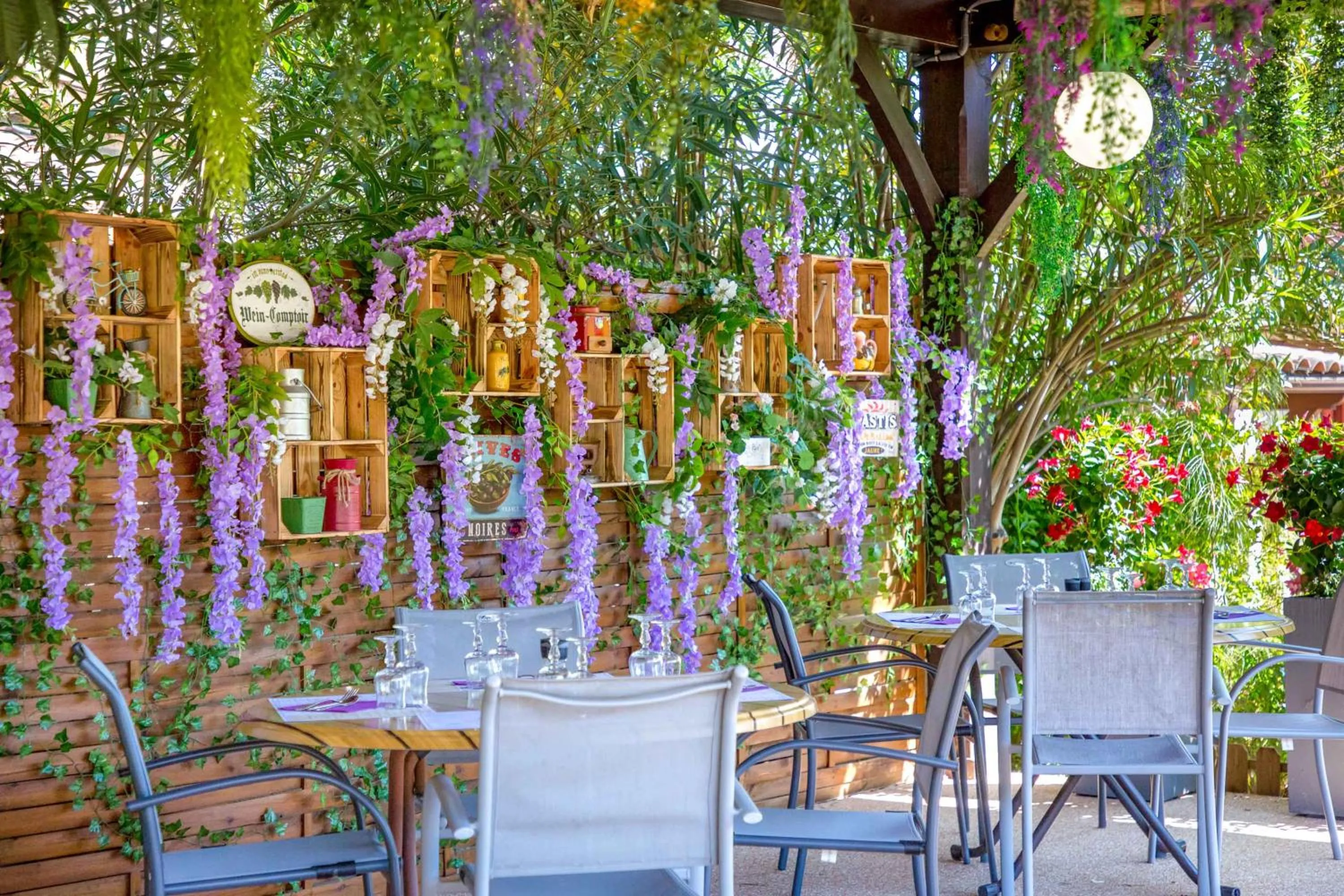 Les Pins Blancs en Provence