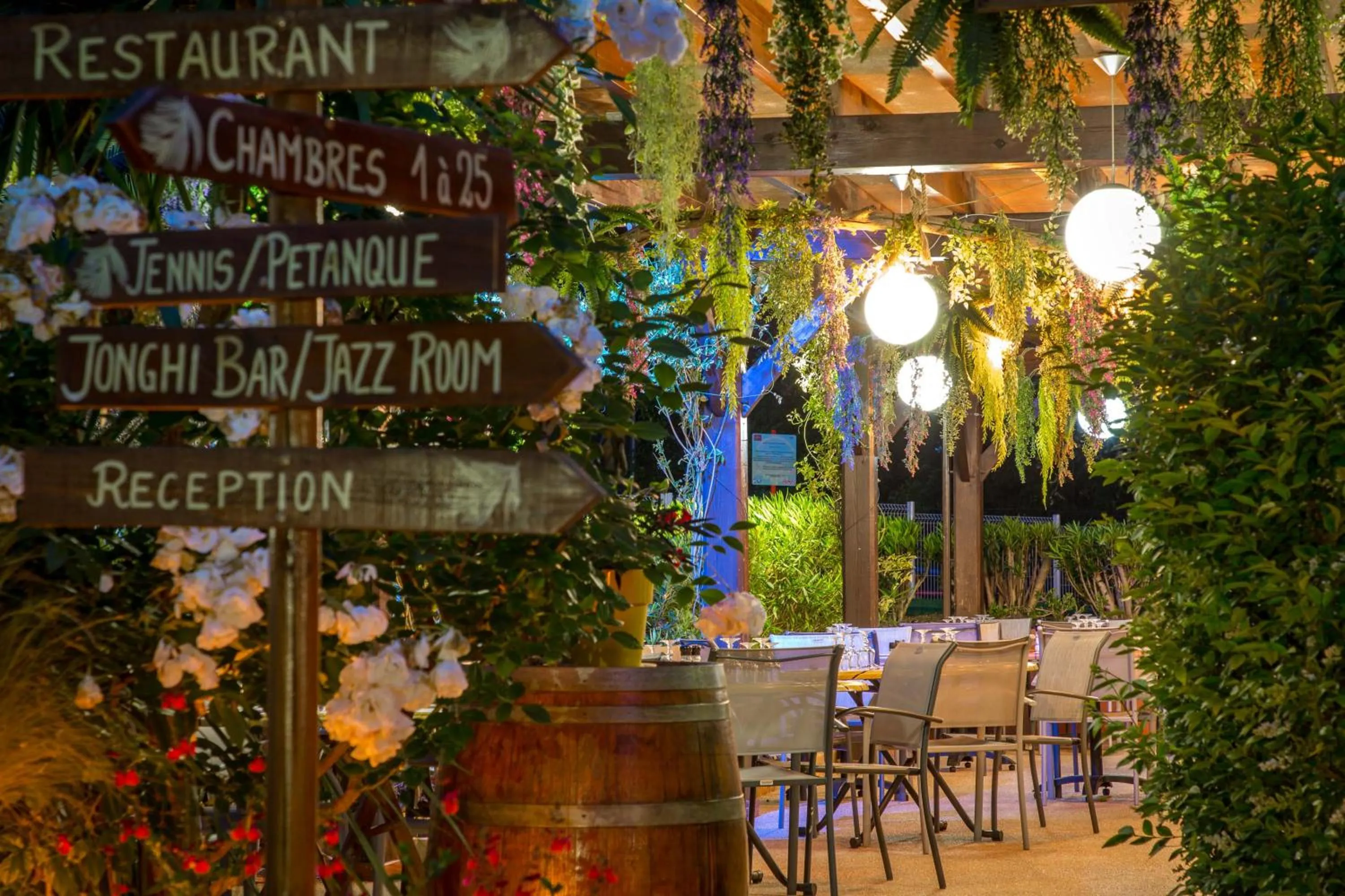 Les Pins Blancs en Provence