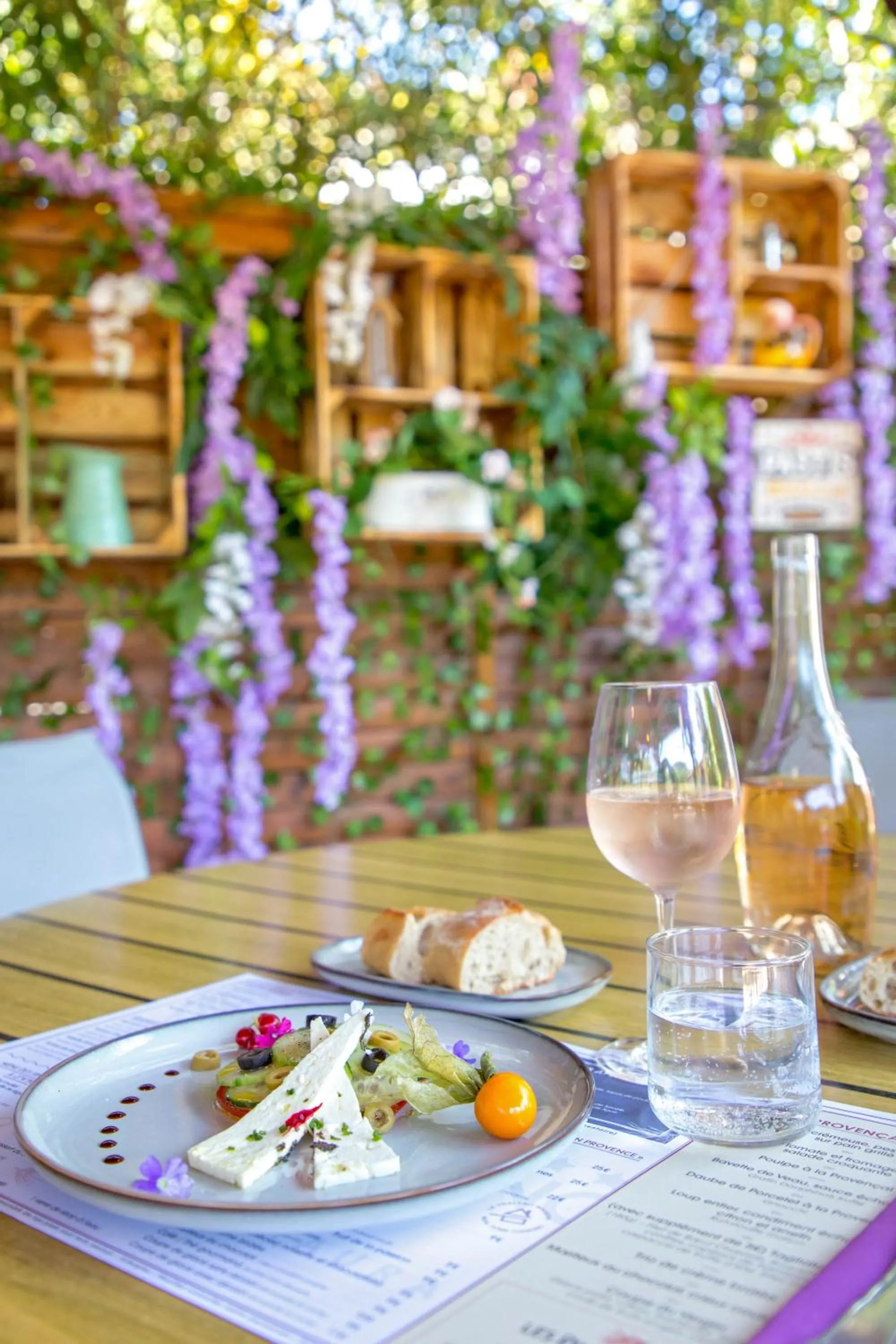 Les Pins Blancs en Provence