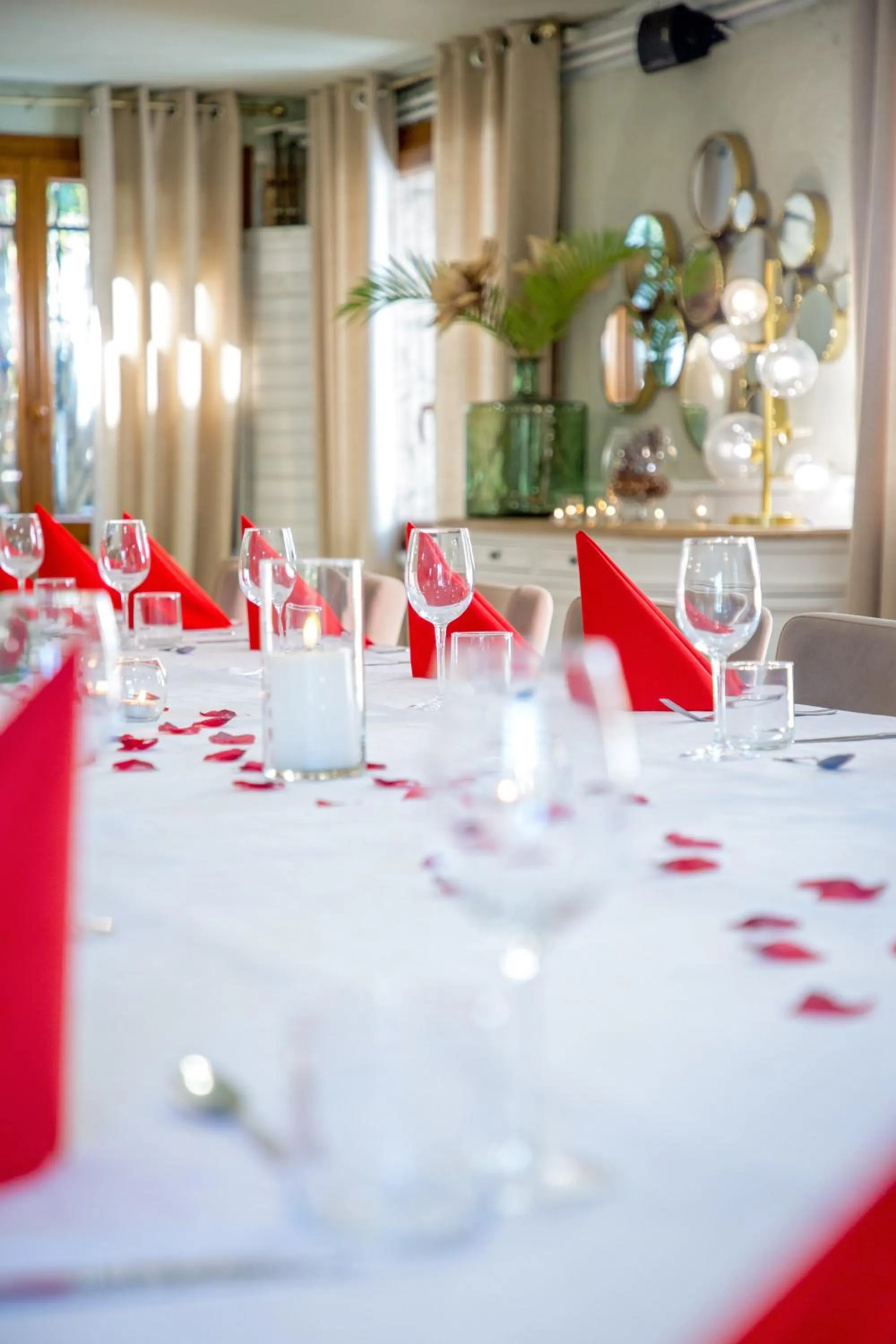 Les Pins Blancs en Provence