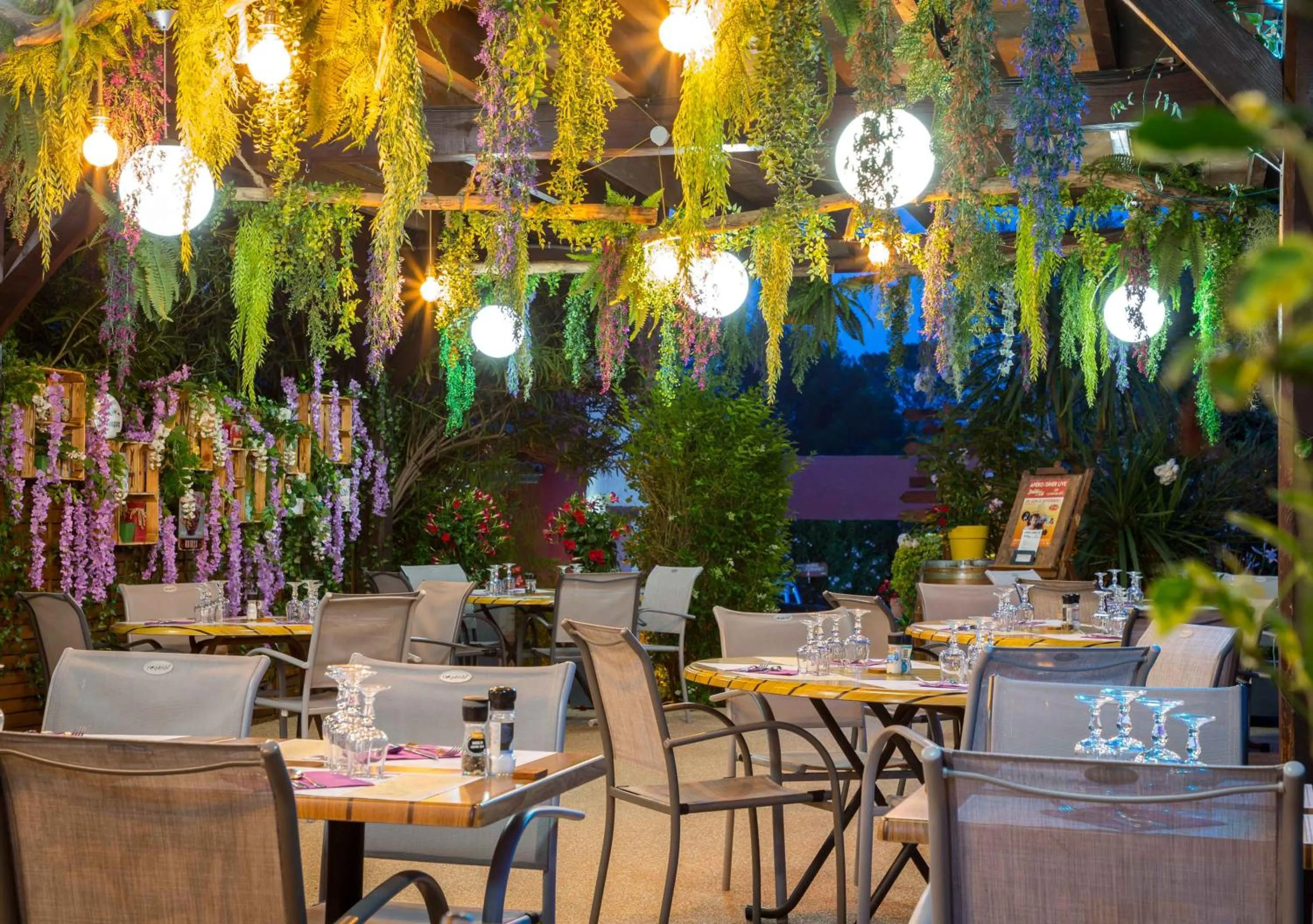 Les Pins Blancs en Provence