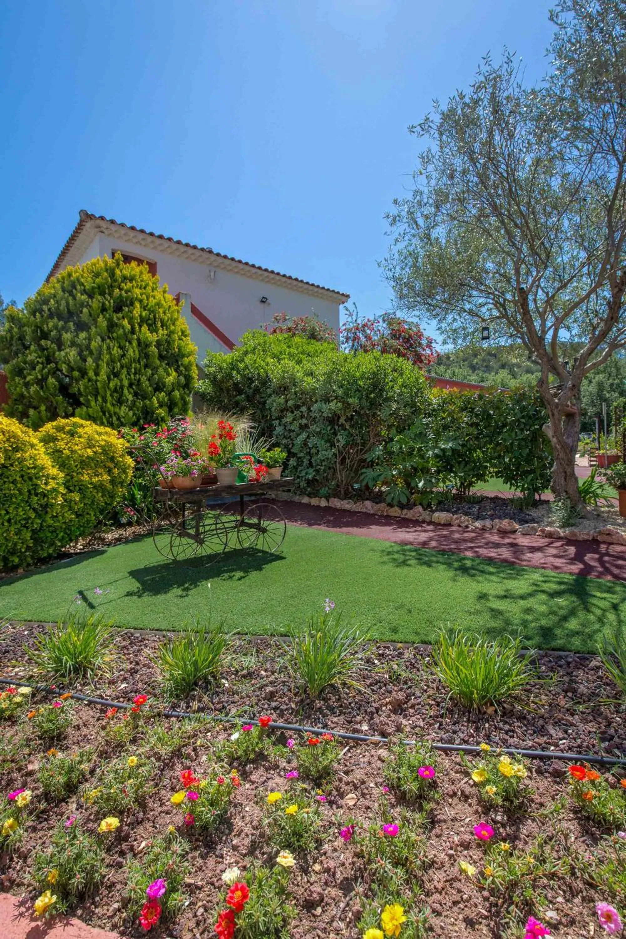 Les Pins Blancs en Provence