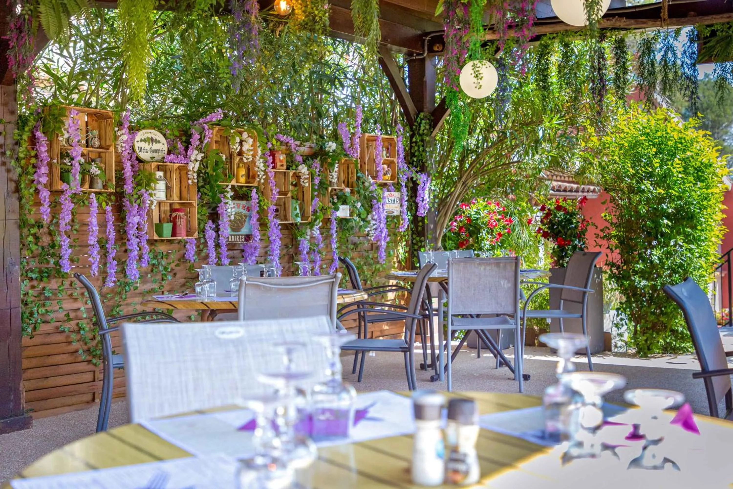 Les Pins Blancs en Provence