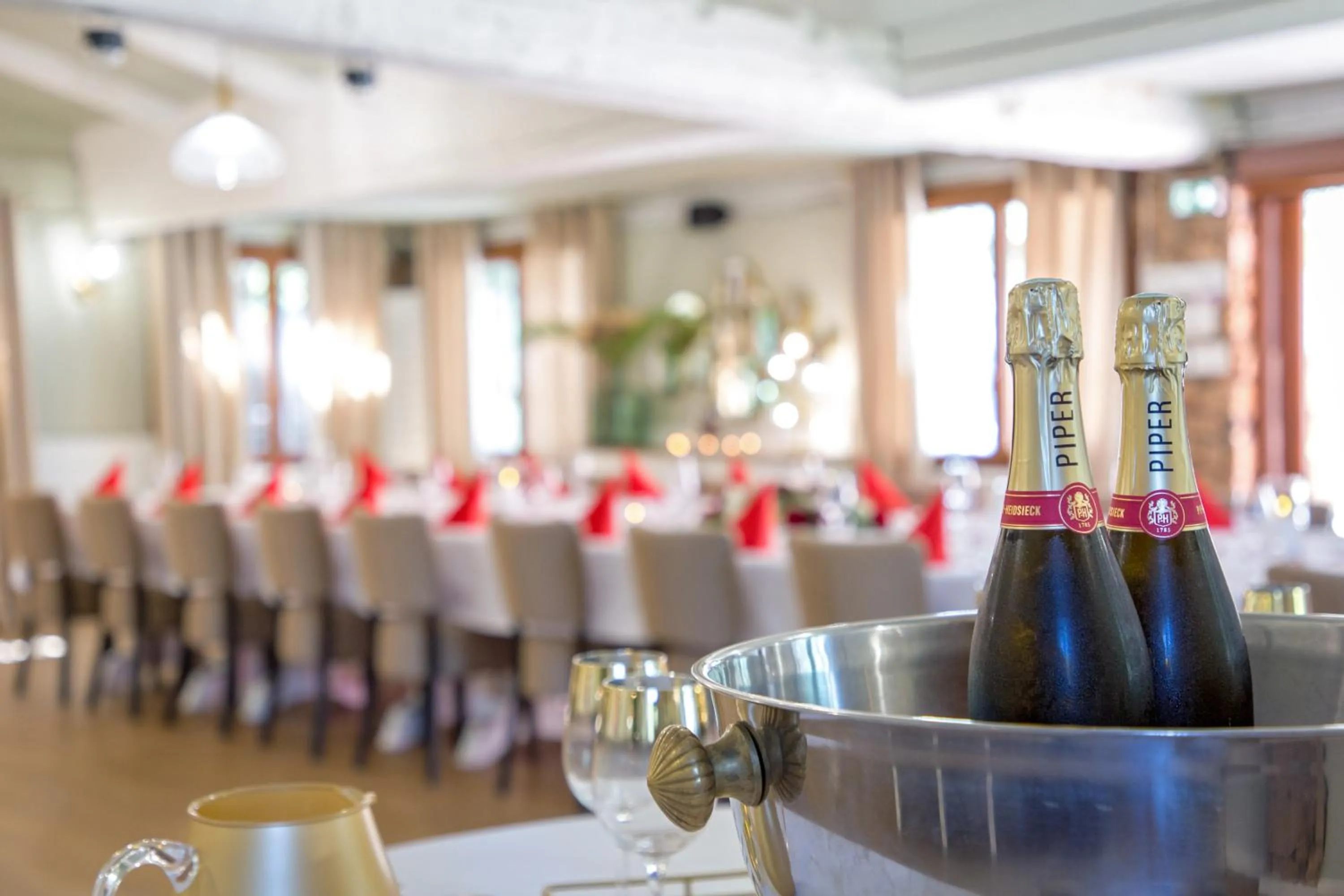 Les Pins Blancs en Provence