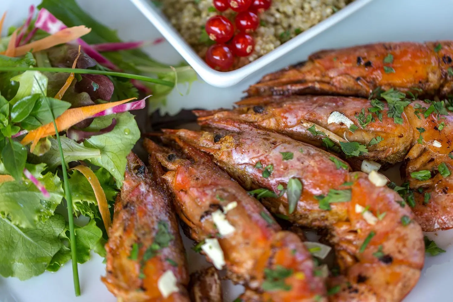 Restaurant/places to eat in Les Pins Blancs en Provence