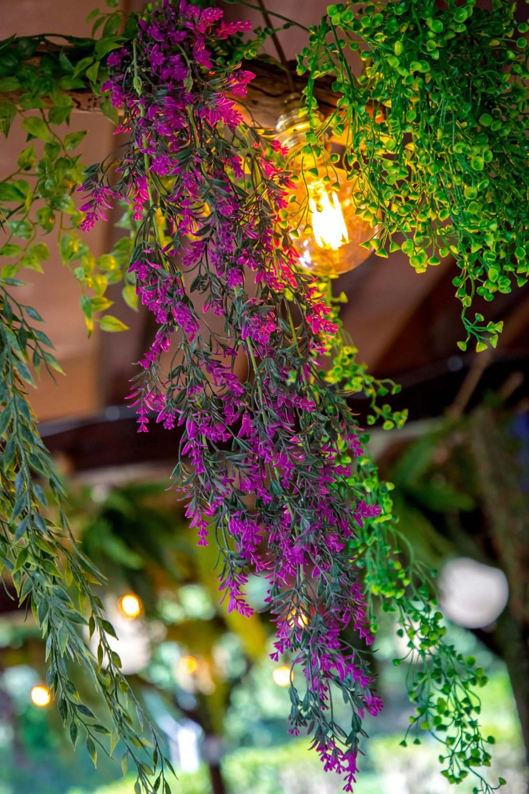 Les Pins Blancs en Provence