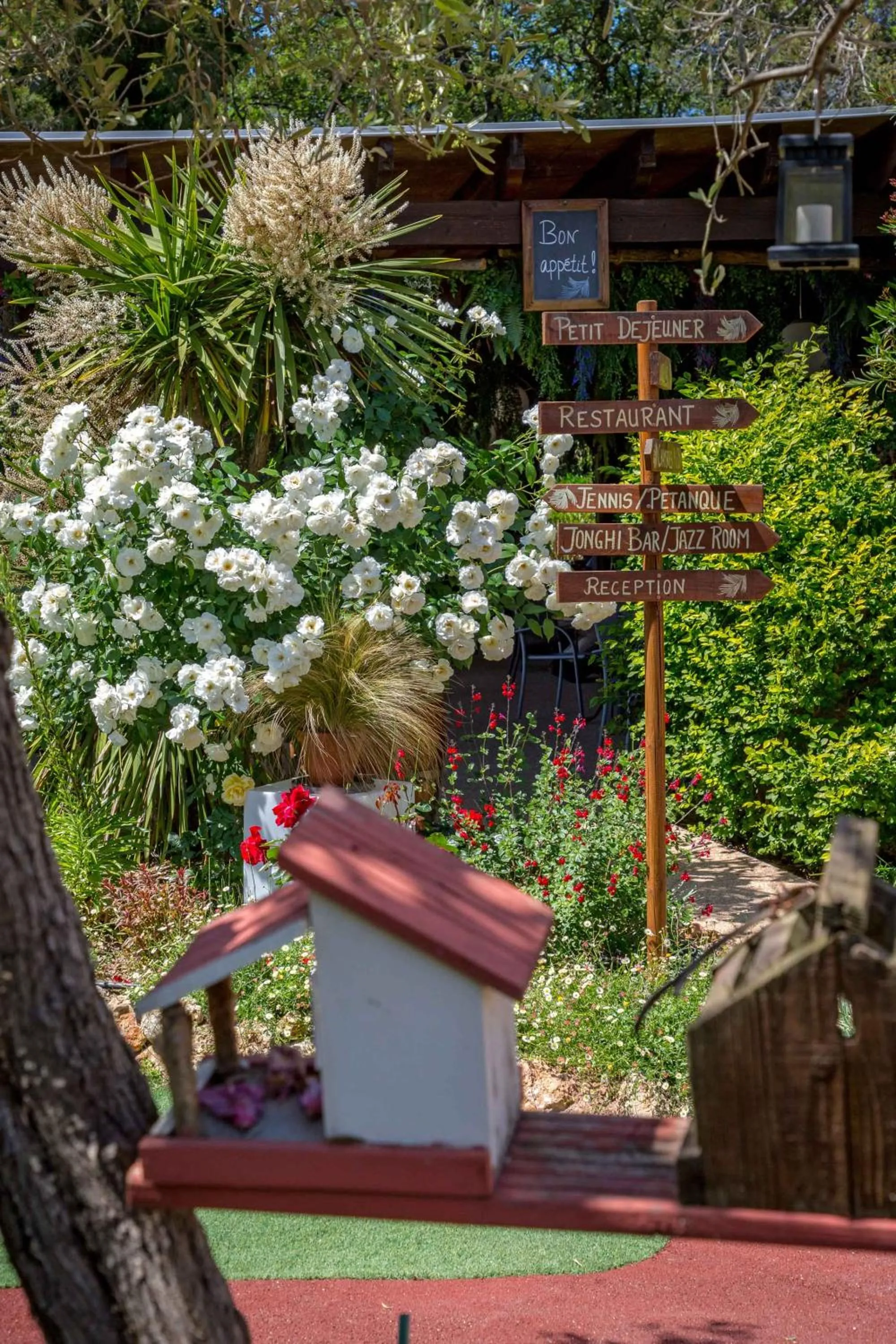 Les Pins Blancs en Provence