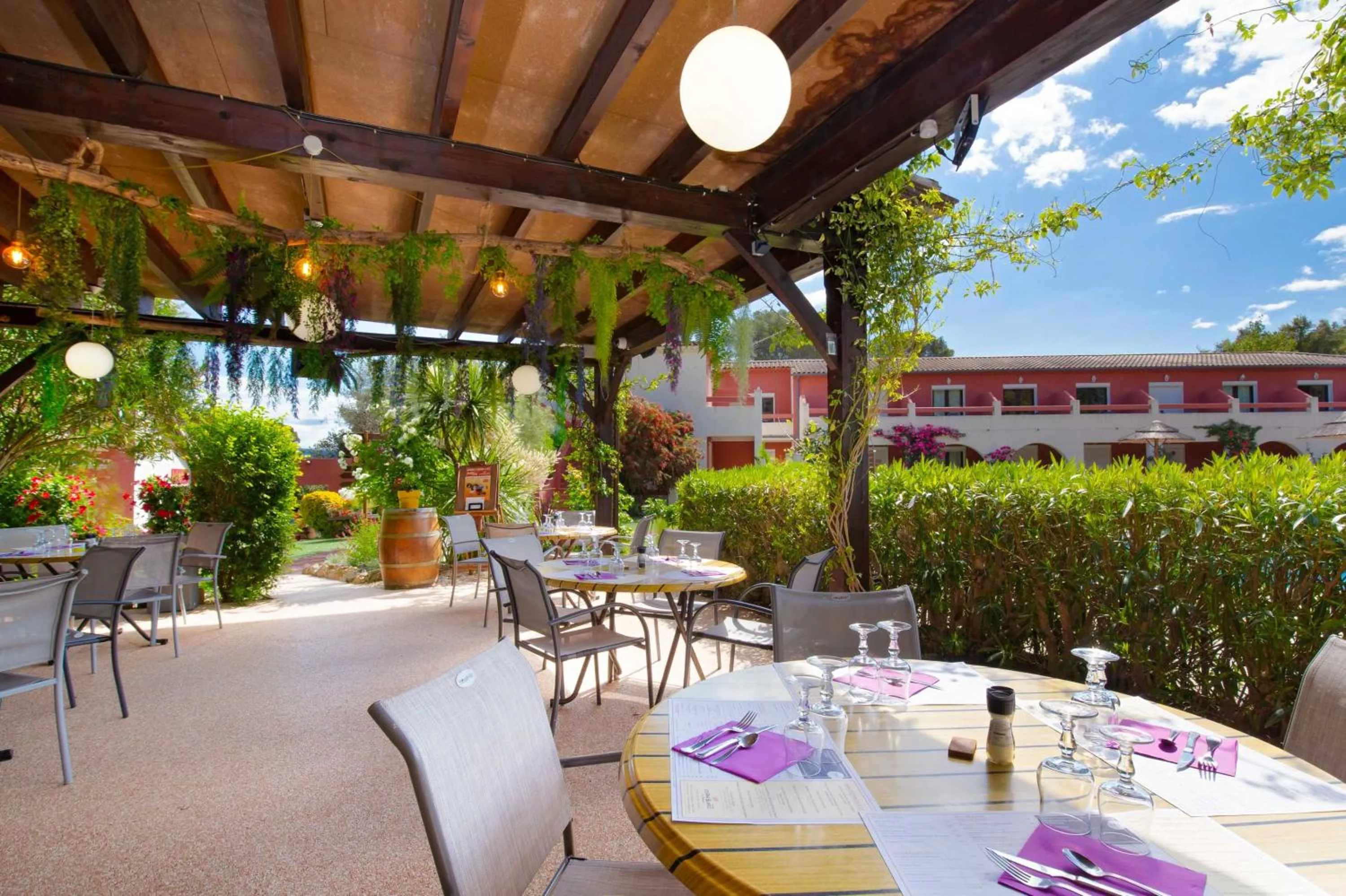 Les Pins Blancs en Provence