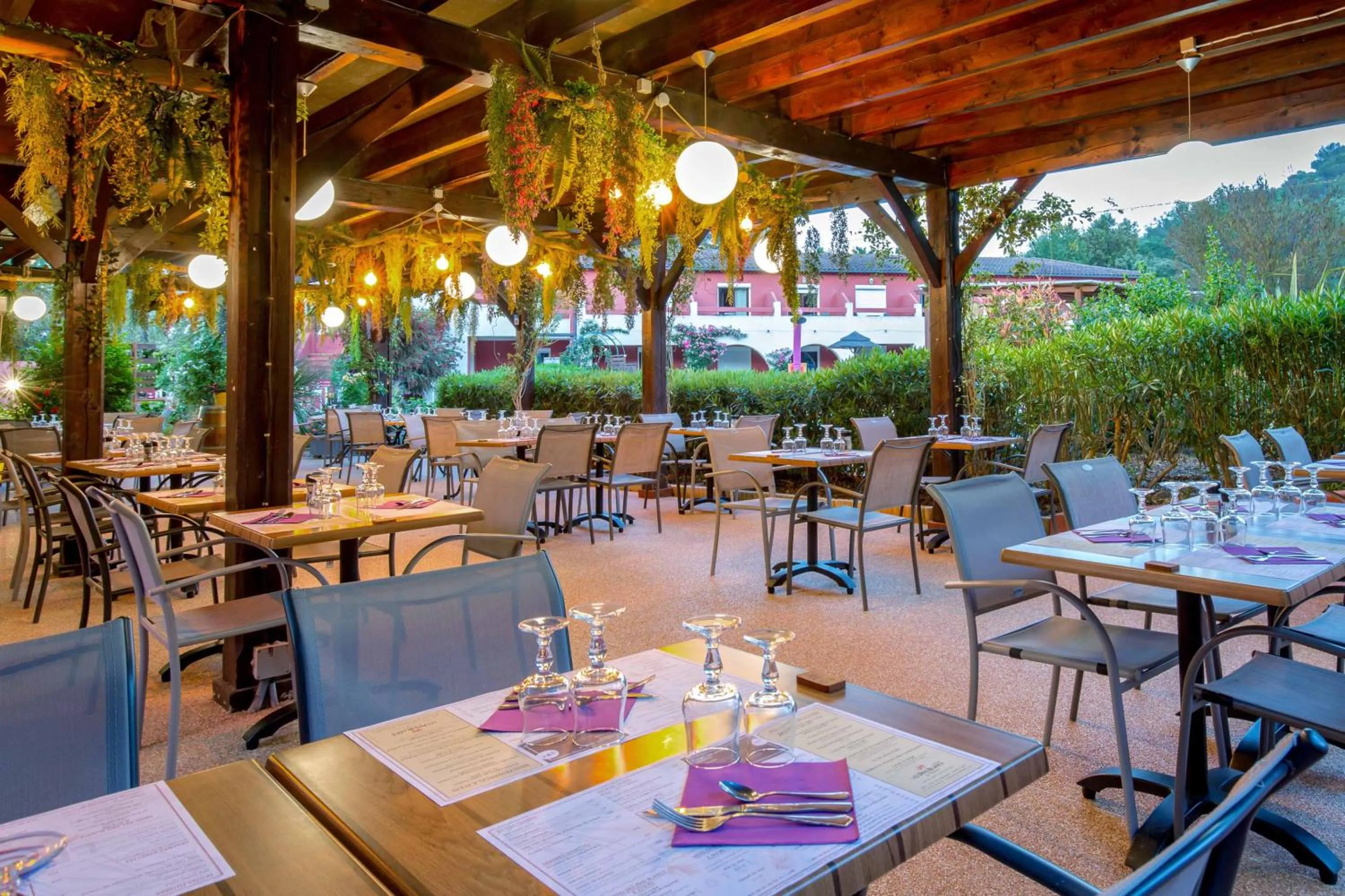 Les Pins Blancs en Provence