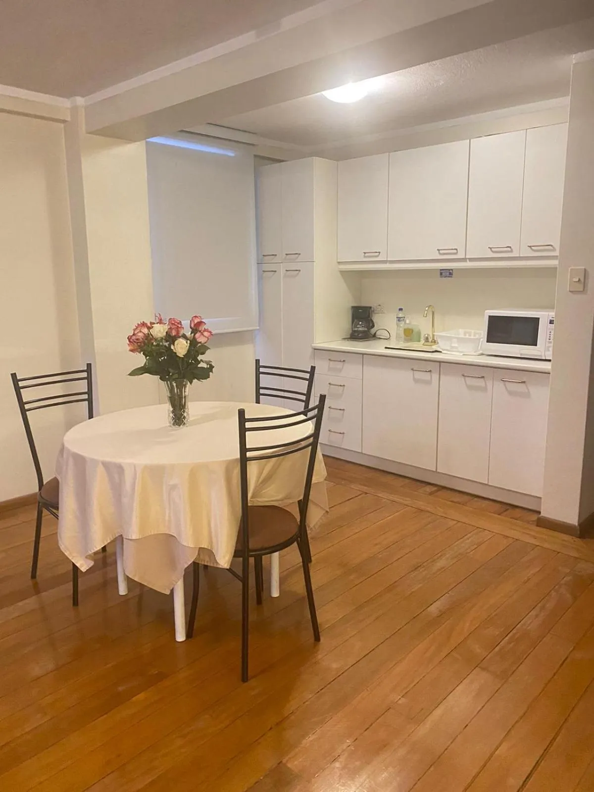 Kitchen or kitchenette in Suites Metropoli
