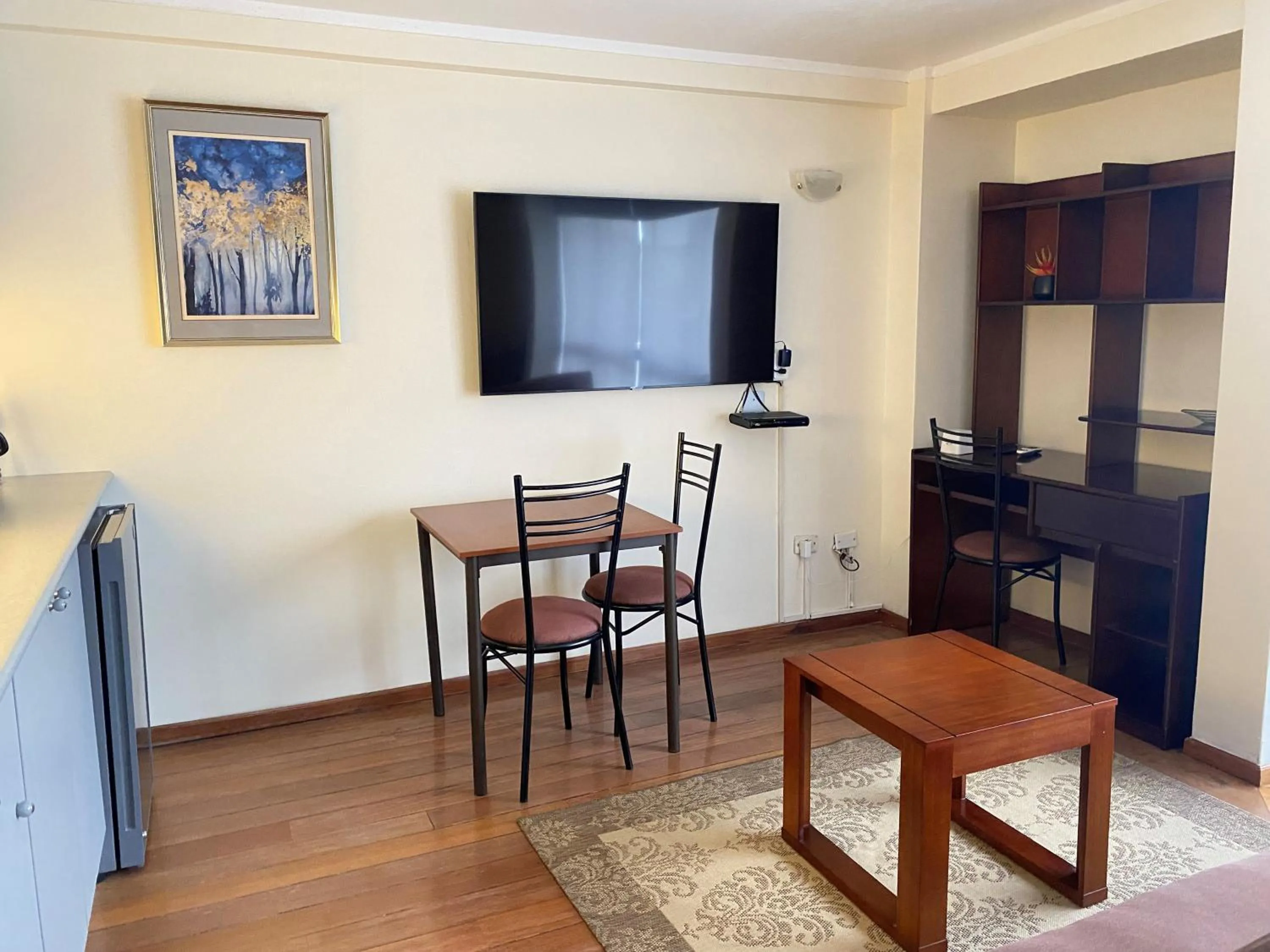 TV and multimedia in Suites Metropoli