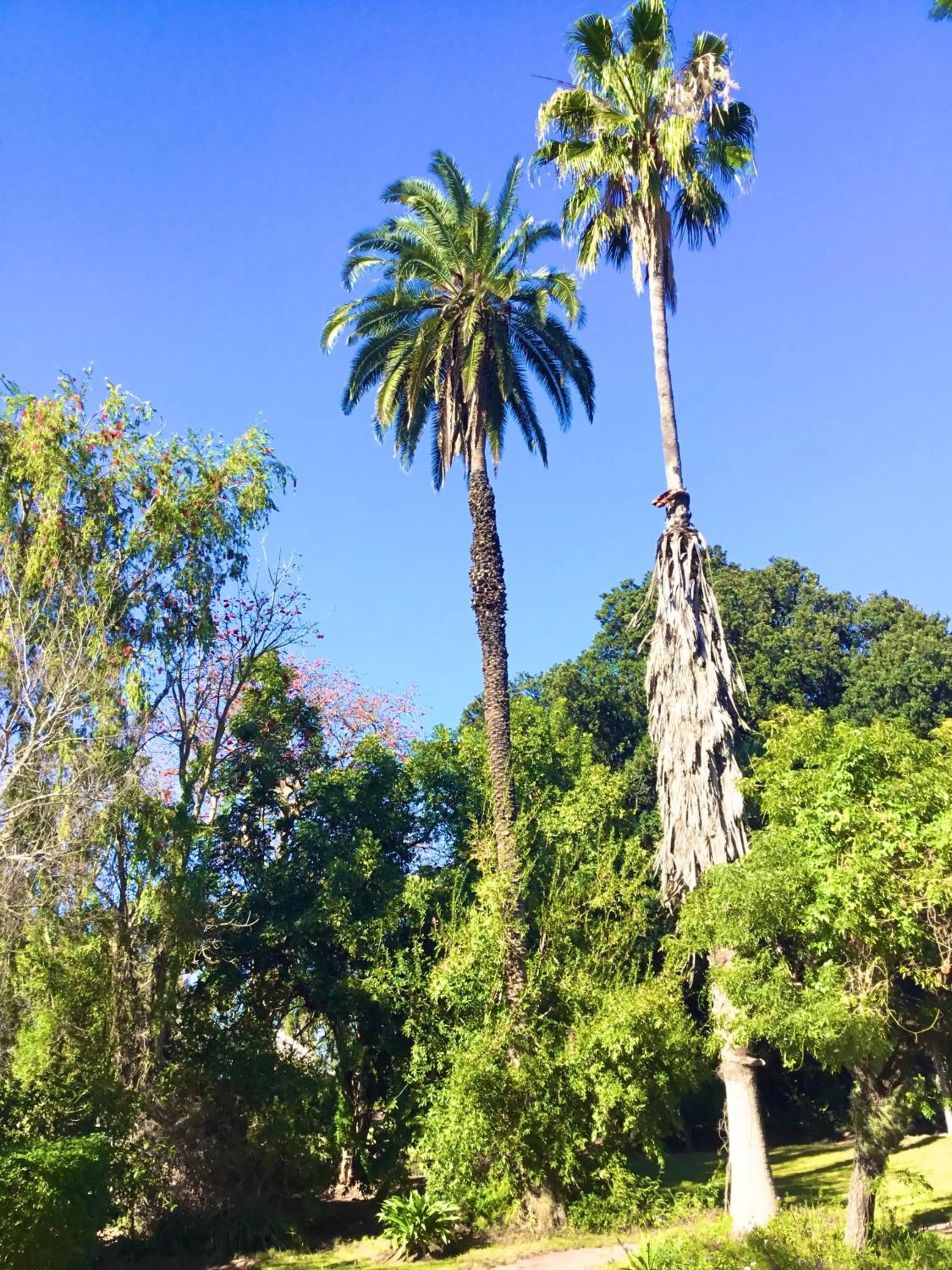 Garden in Rosedale Organic Farm Bed & Breakfast