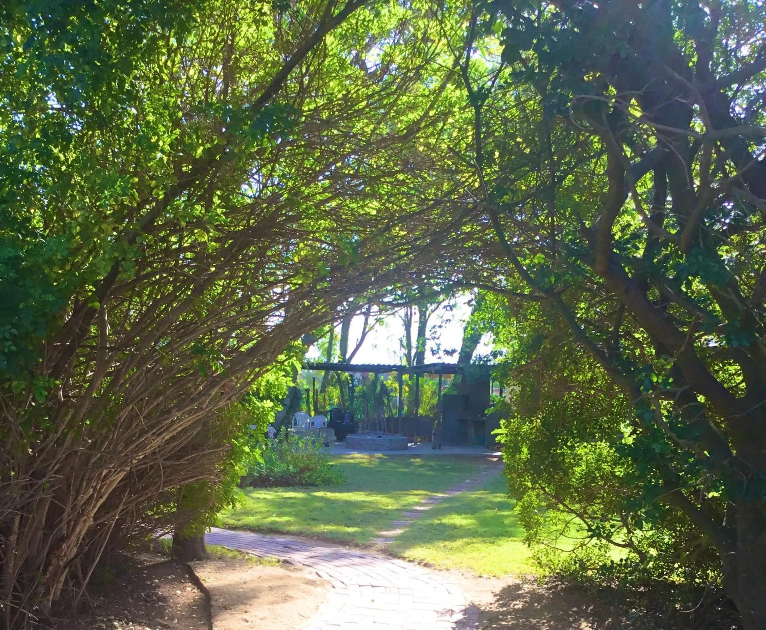 Garden in Rosedale Organic Farm Bed & Breakfast