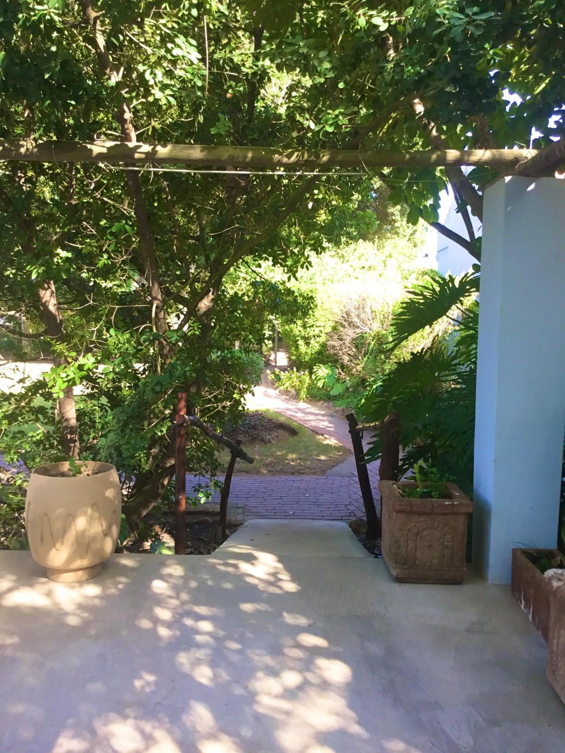 Patio in Rosedale Organic Farm Bed & Breakfast