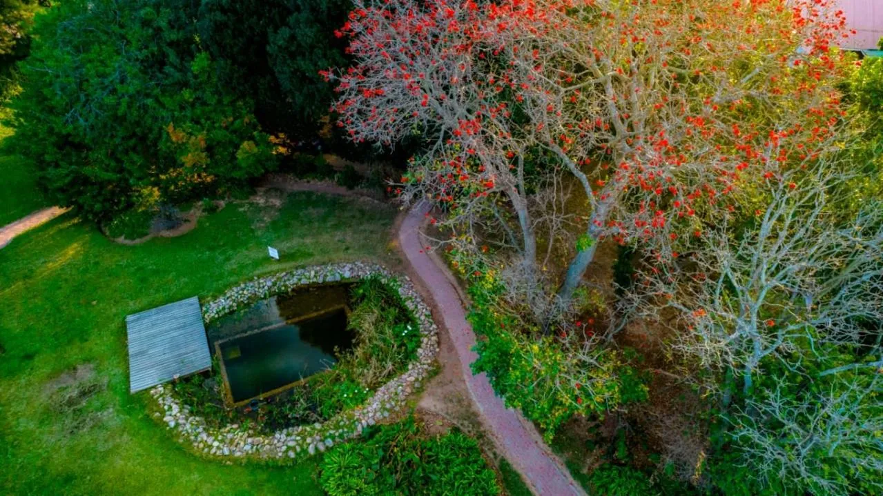 Natural landscape in Rosedale Organic Farm Bed & Breakfast