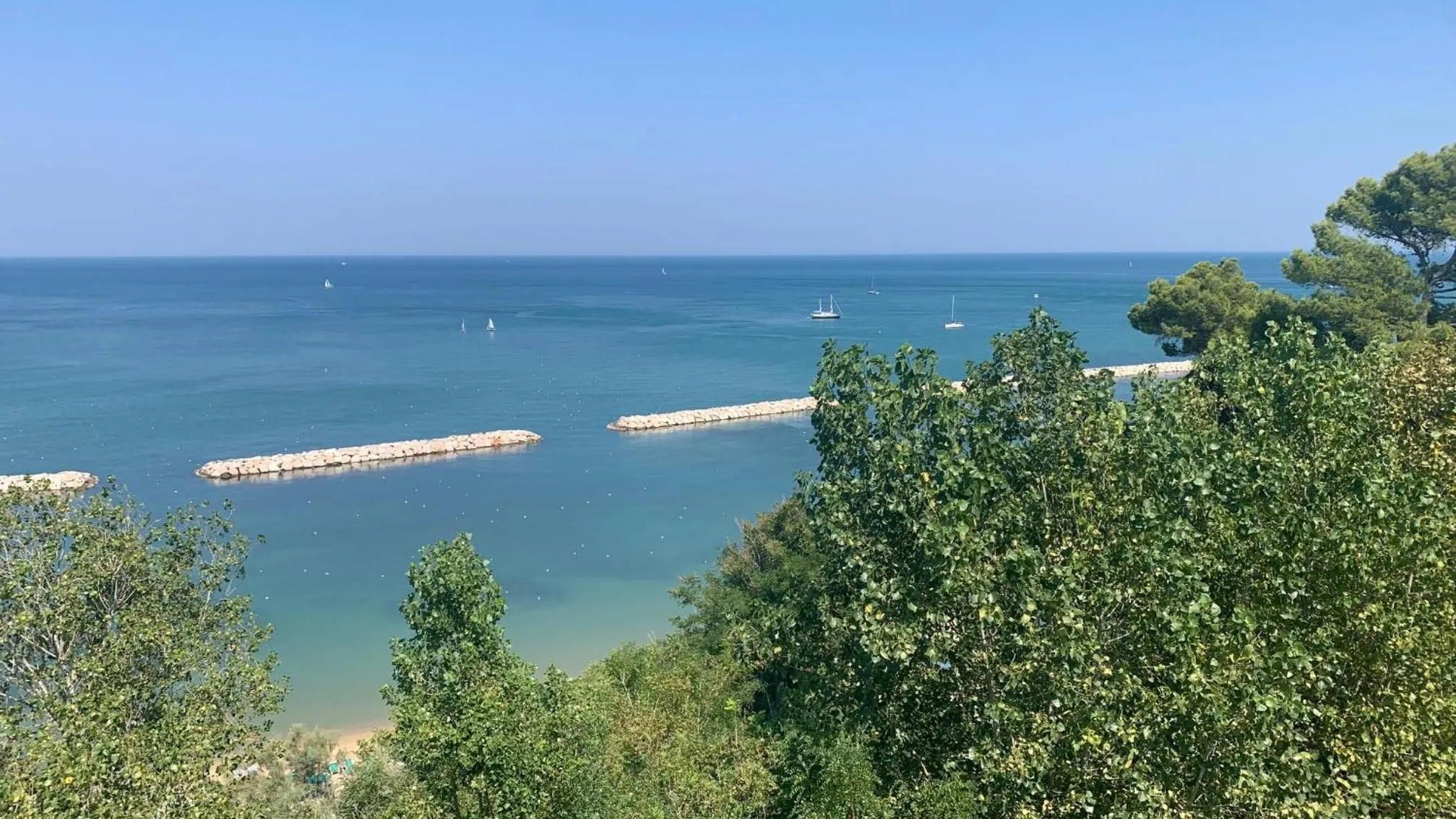 Restaurant/places to eat in Hotel Majestic