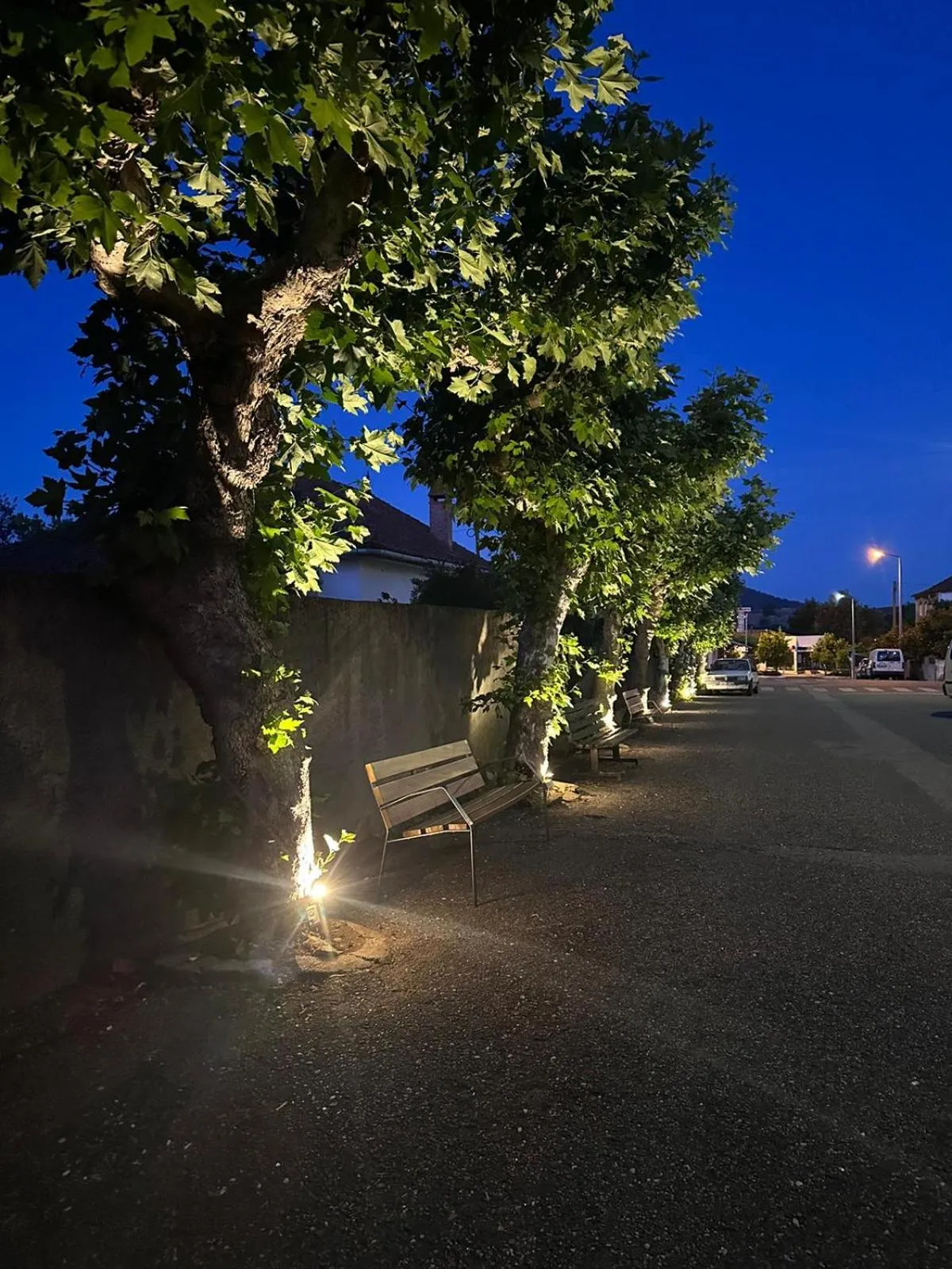 Night in Hotel Boavista - Vintage House