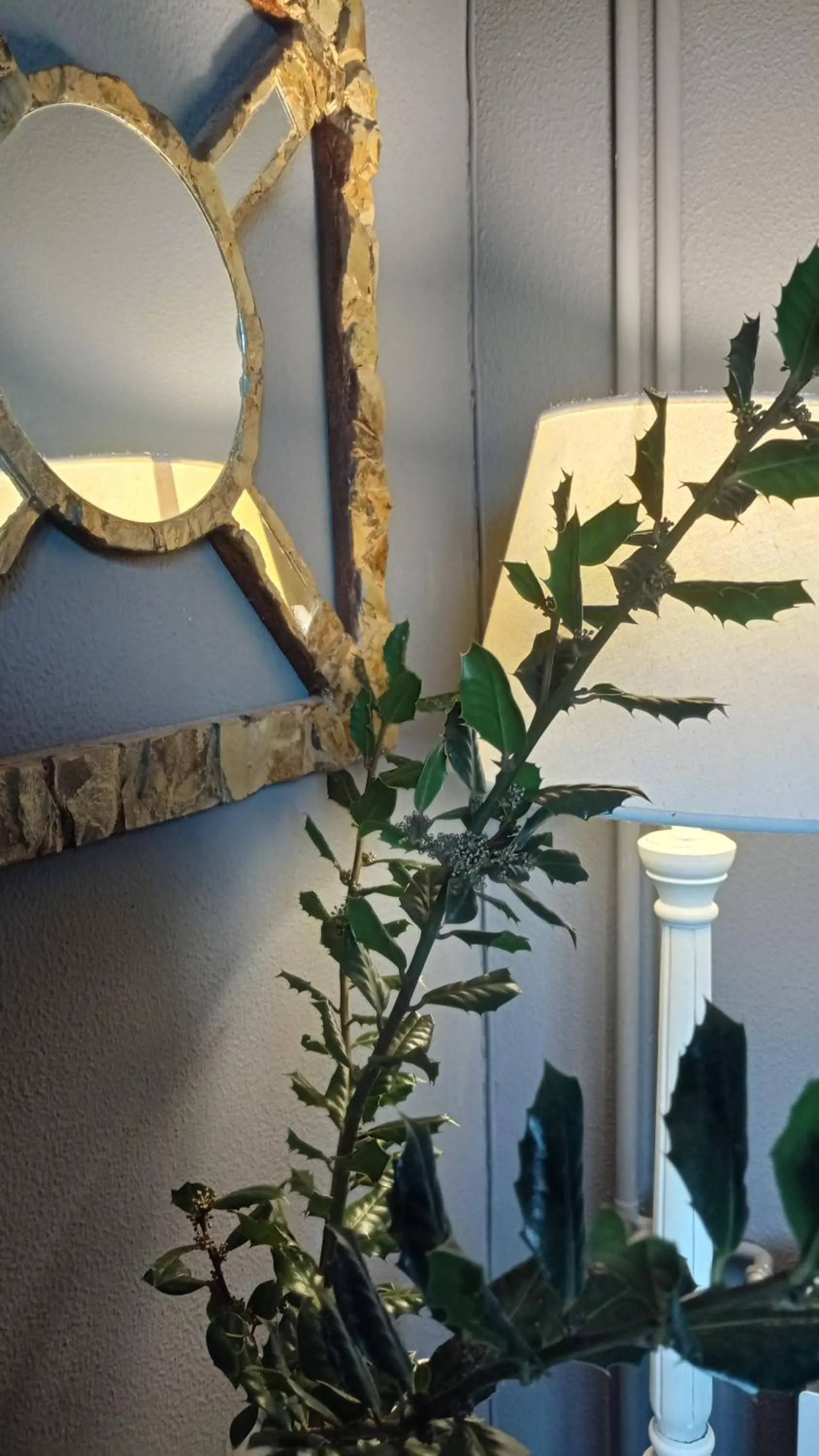 Hotel Boavista - Vintage House