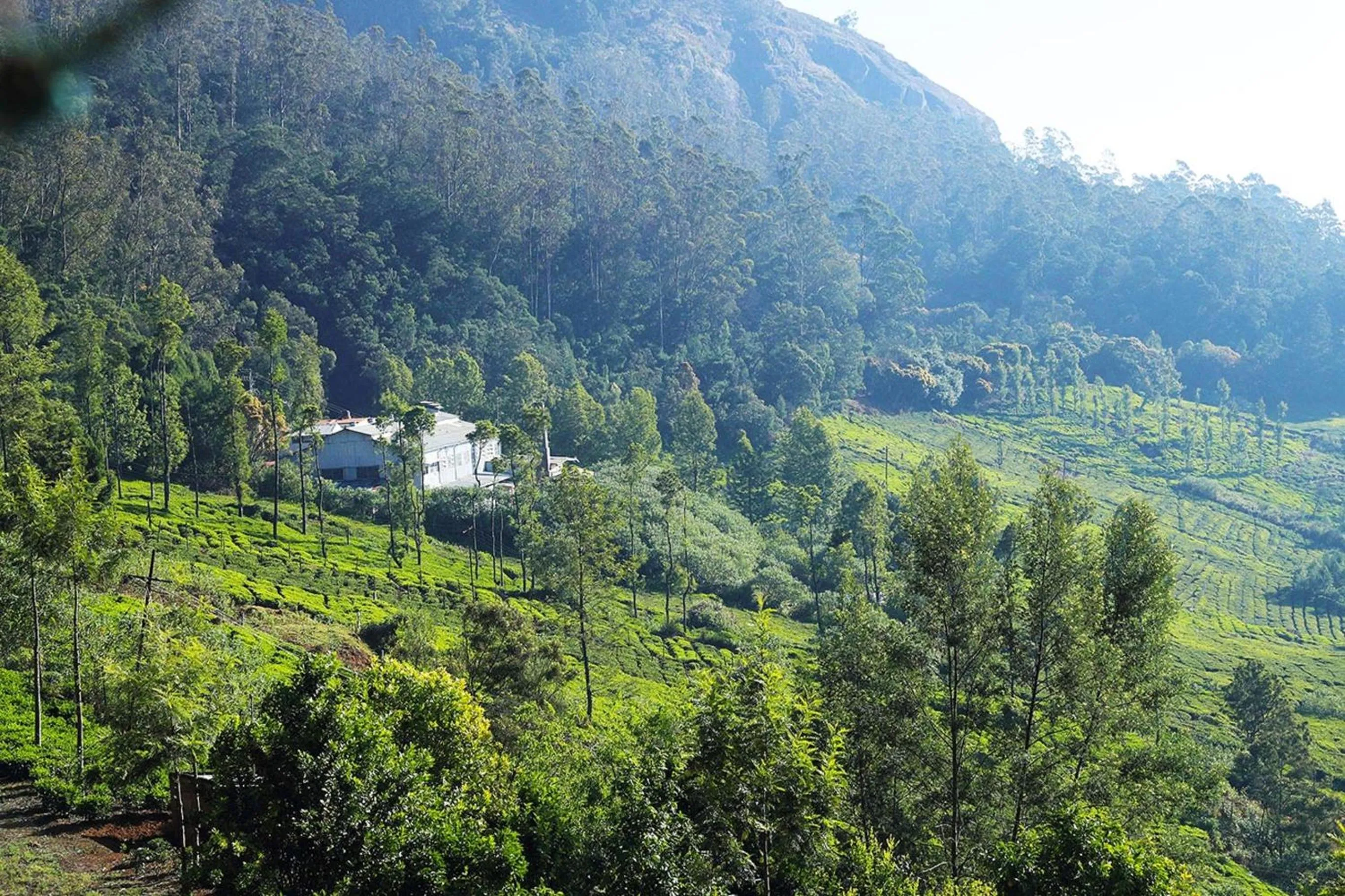 Day in Logan Camp Ooty