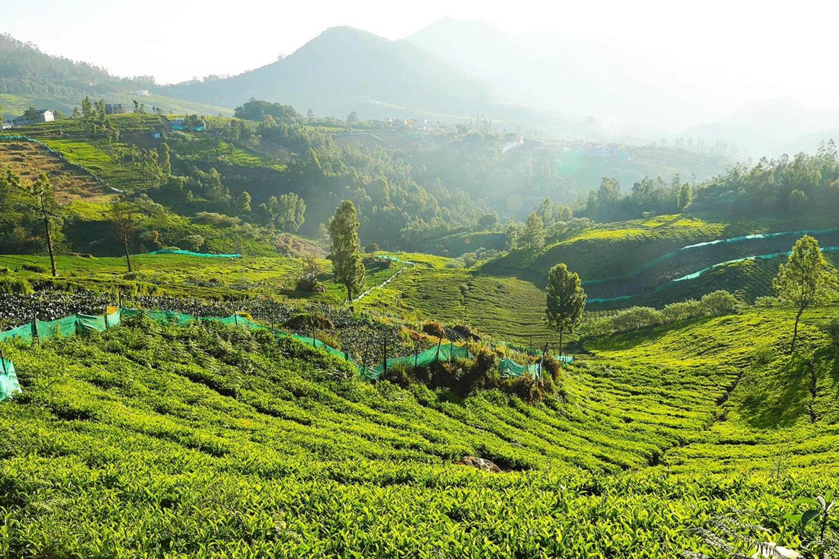 Day in Logan Camp Ooty