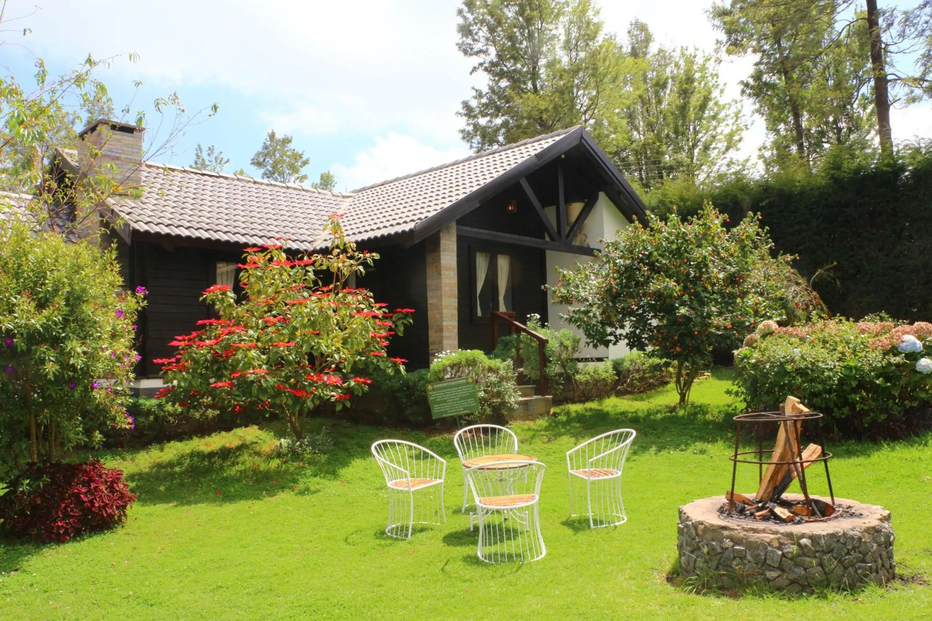 Garden in Logan Camp Ooty