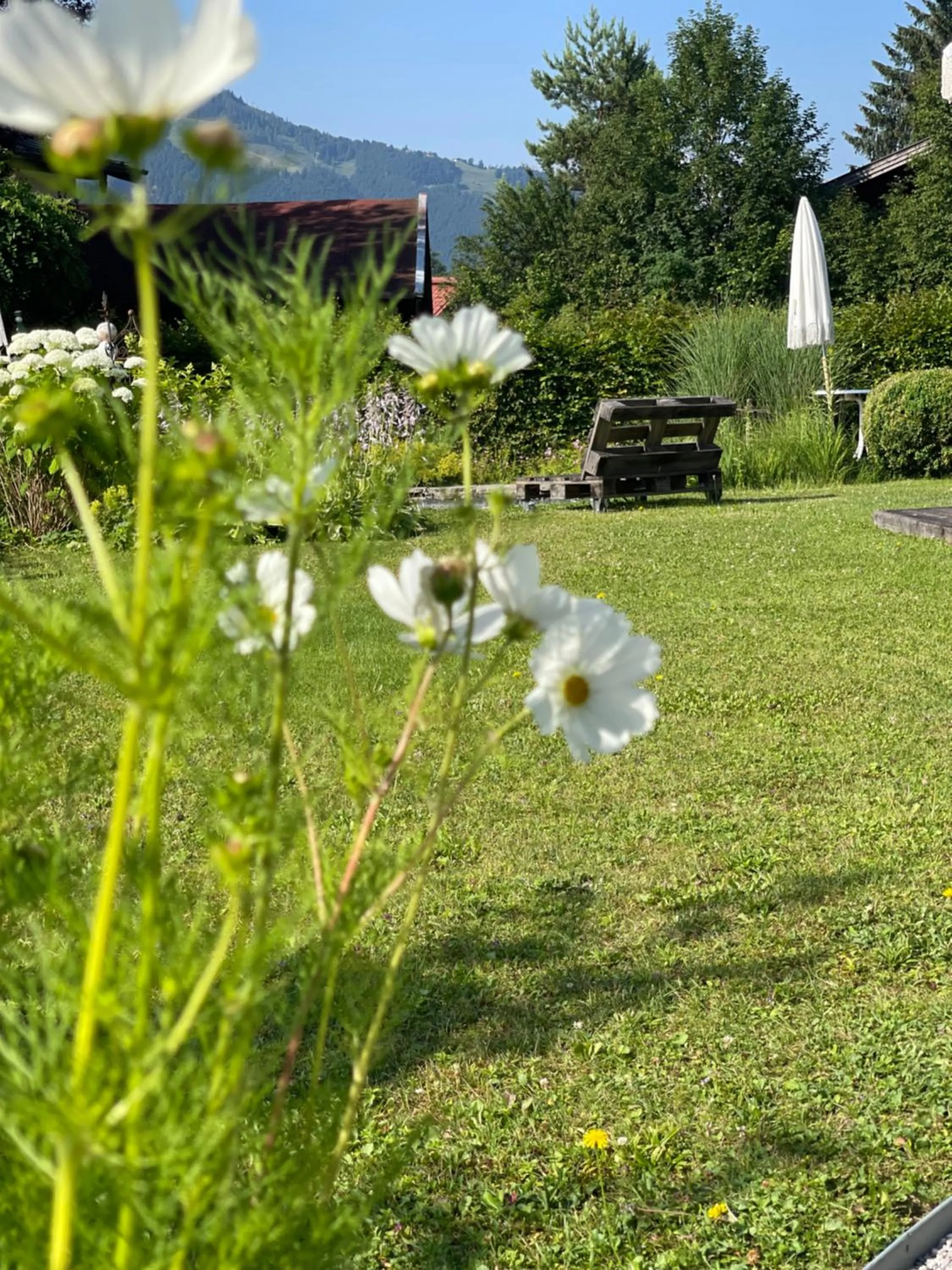 Das Ruebezahl