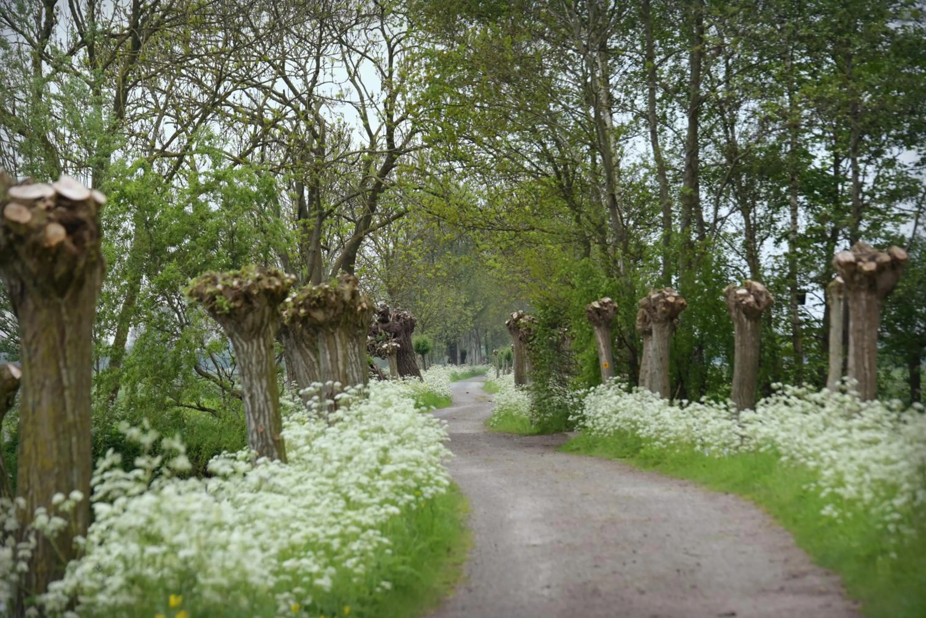 Neighbourhood in Gastenverblijf Rodenburg