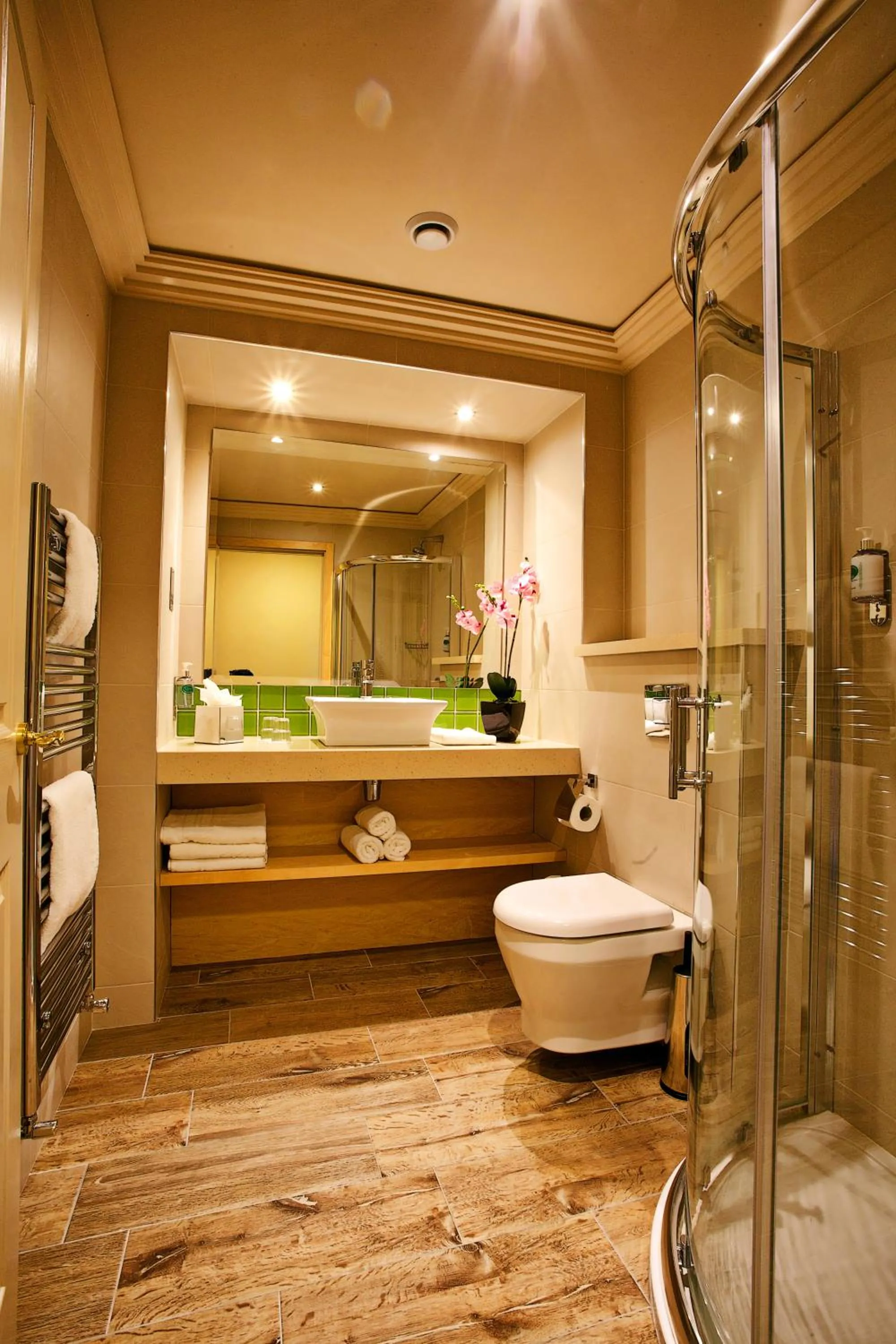 Shower in Torc Hotel