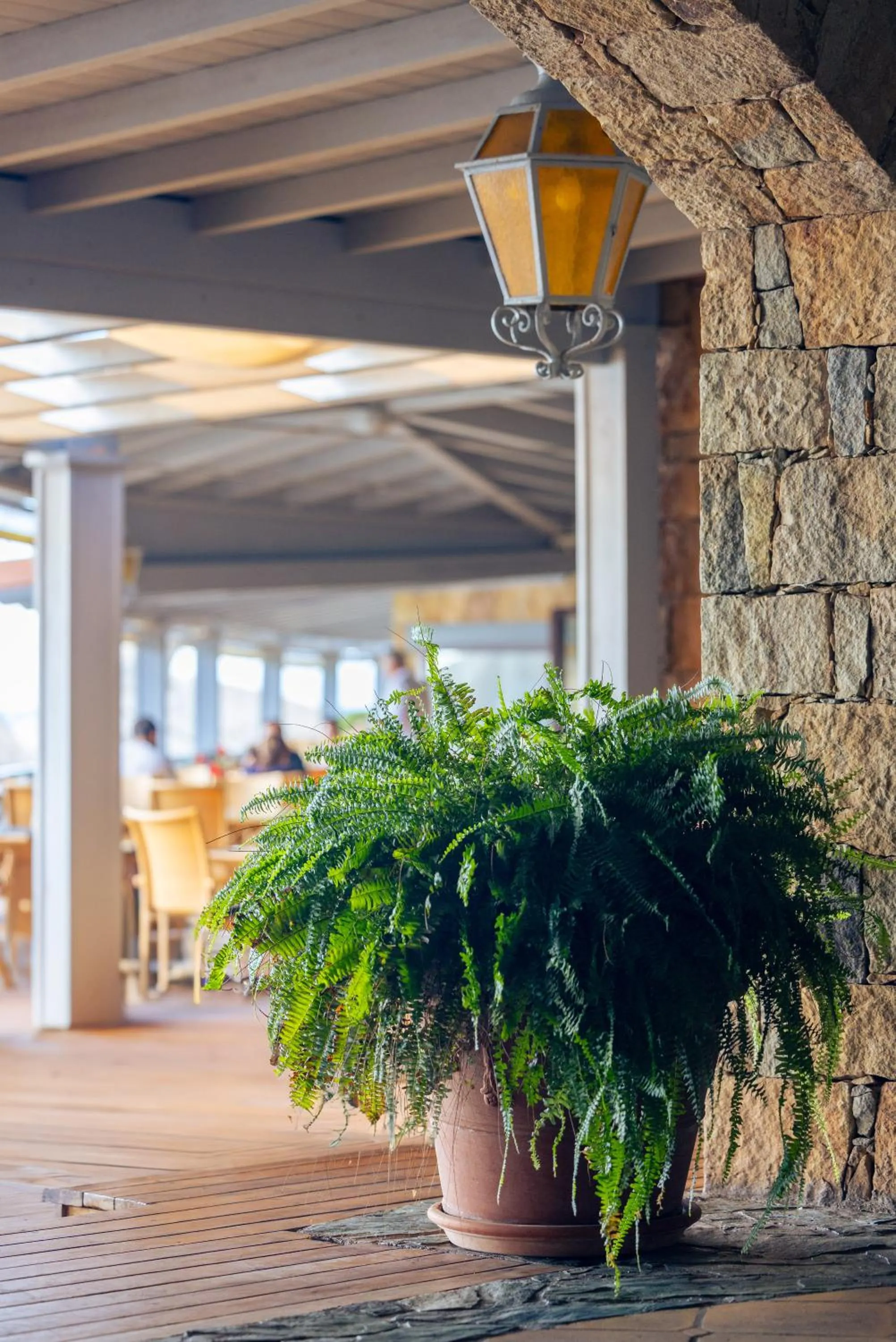 Restaurant/places to eat in Hotel & SPA des Pecheurs