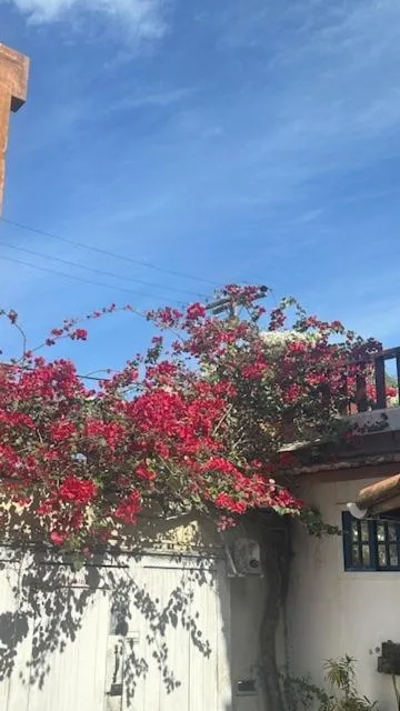 Property building in Pousada Casa das Rosas