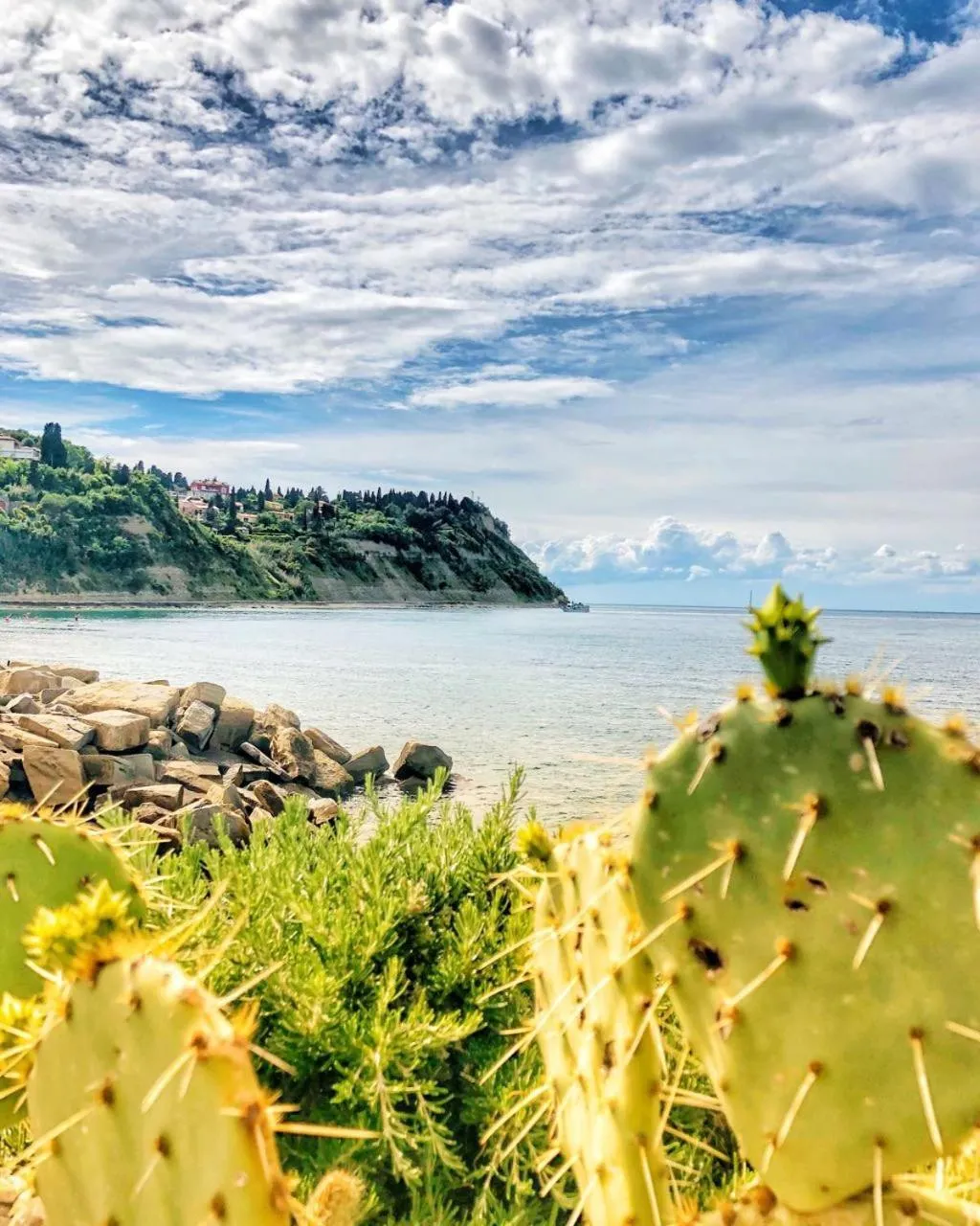 Nearby landmark in Barbara Piran Beach Hotel
