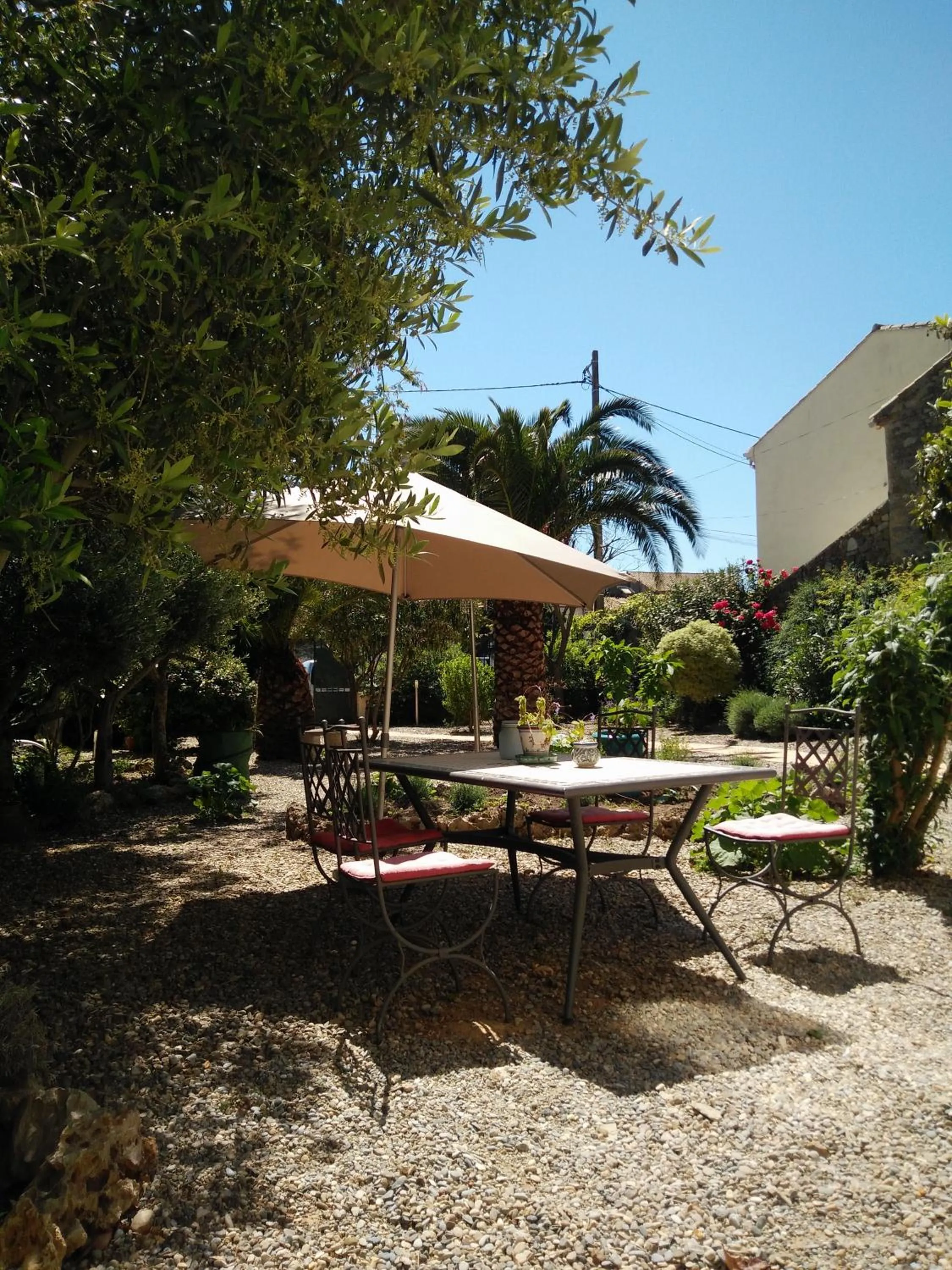 La Maison des Palmiers