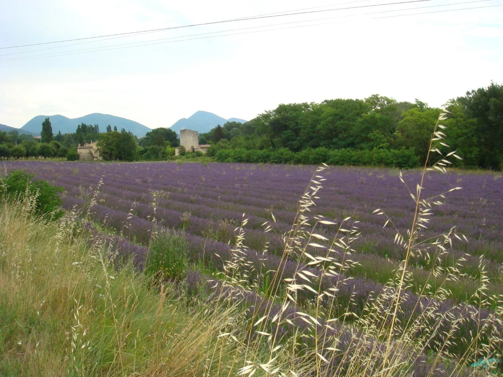 Nearby landmark in Hostellerie Le Beffroi