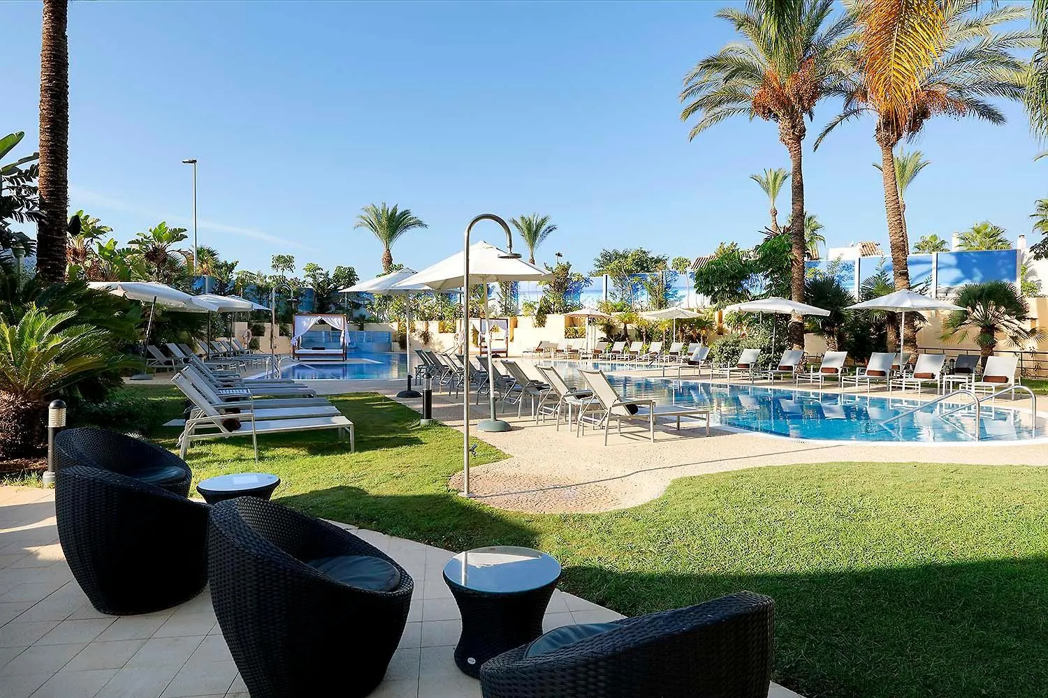Swimming pool in Exe Estepona Thalasso & Spa- Adults Only