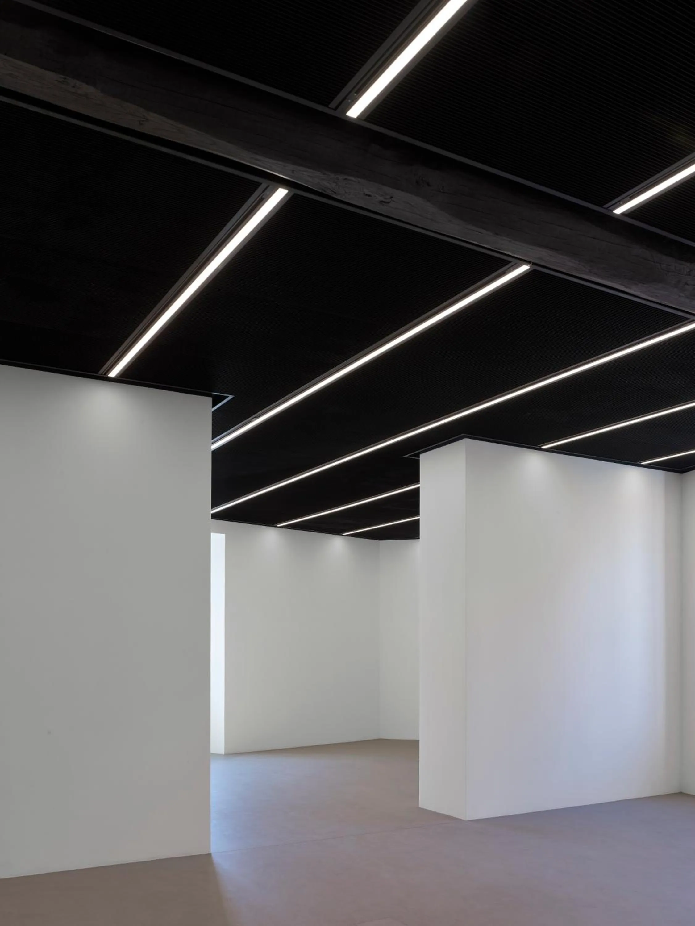 Nearby landmark in Rhinoceros