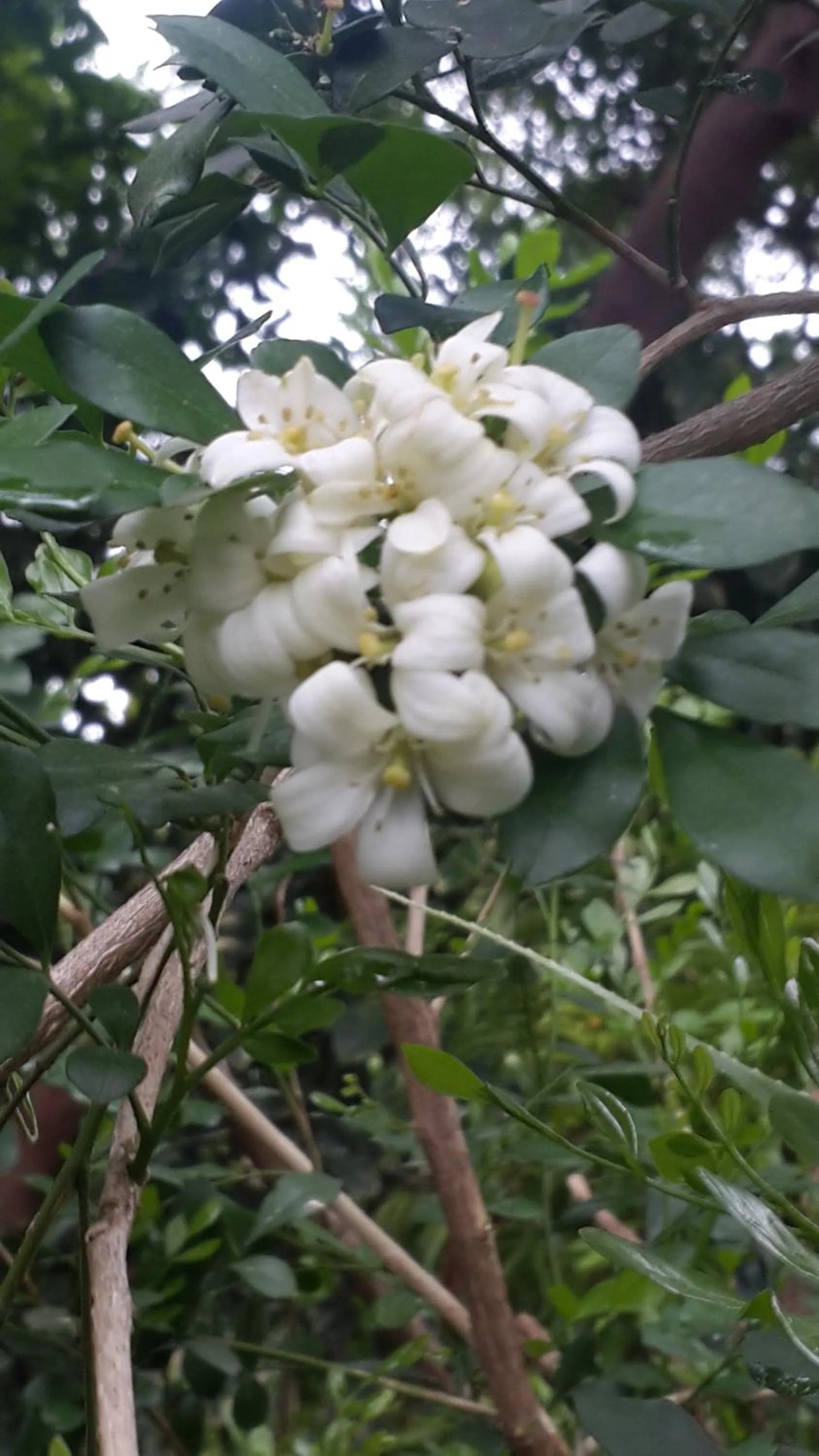 Day in Hotel Casa Barcelona