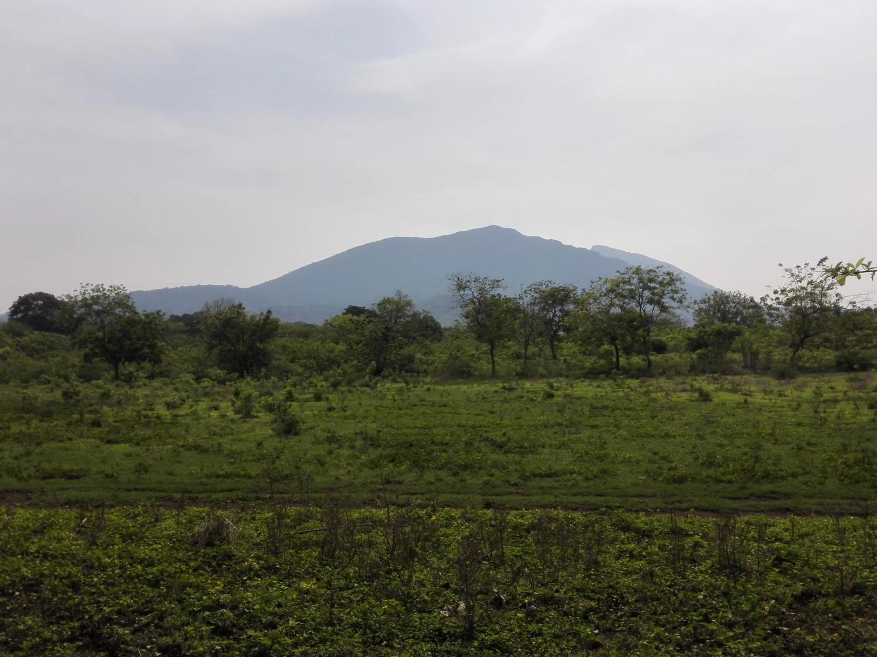 Activities in Hotel Casa Barcelona