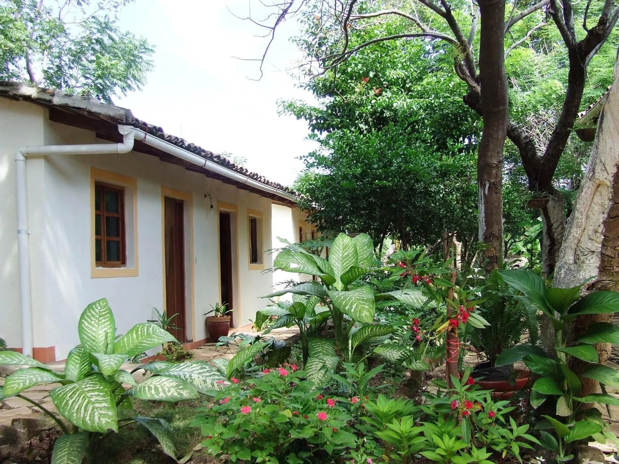 Property building in Hotel Casa Barcelona