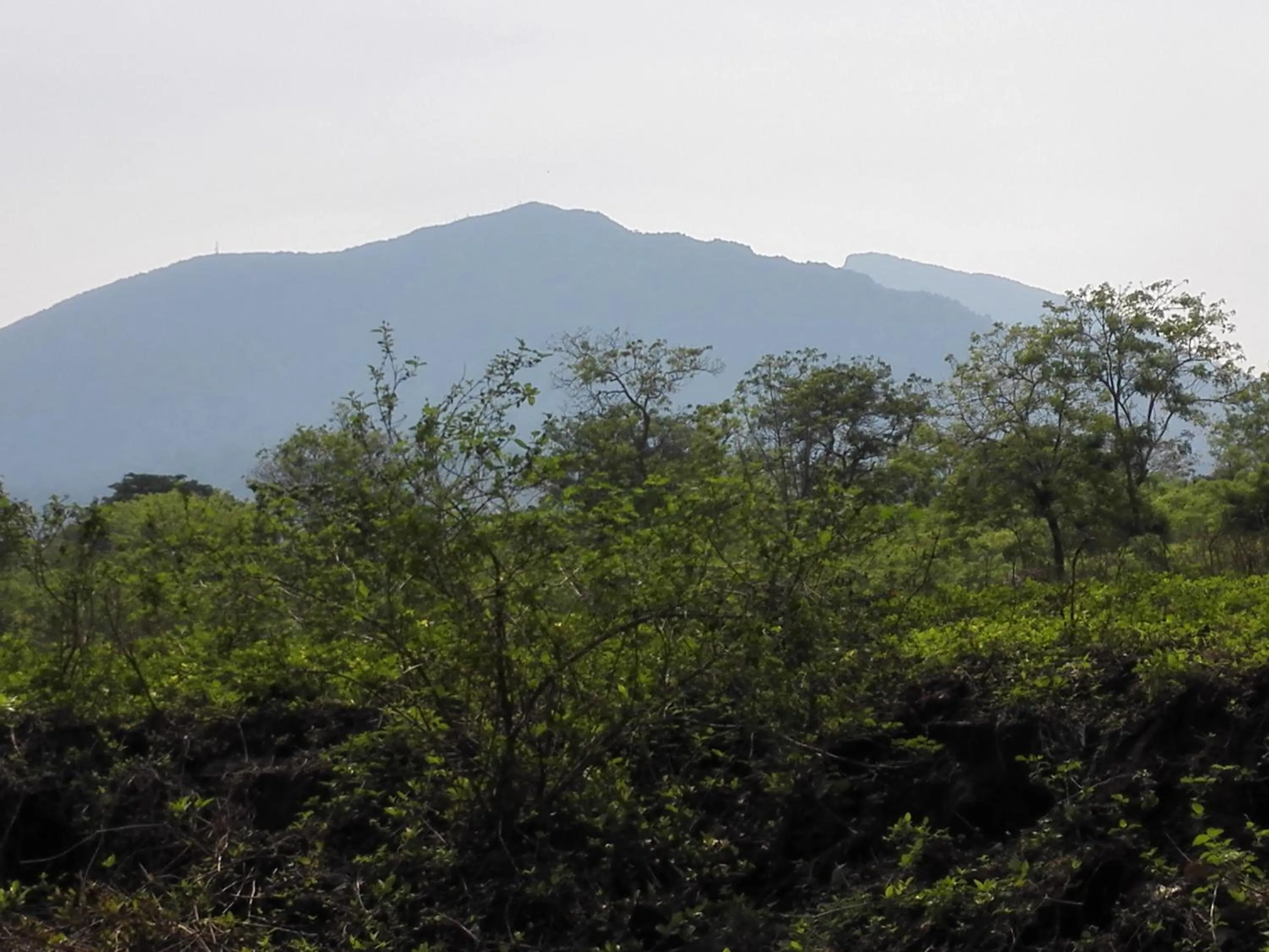 People in Hotel Casa Barcelona
