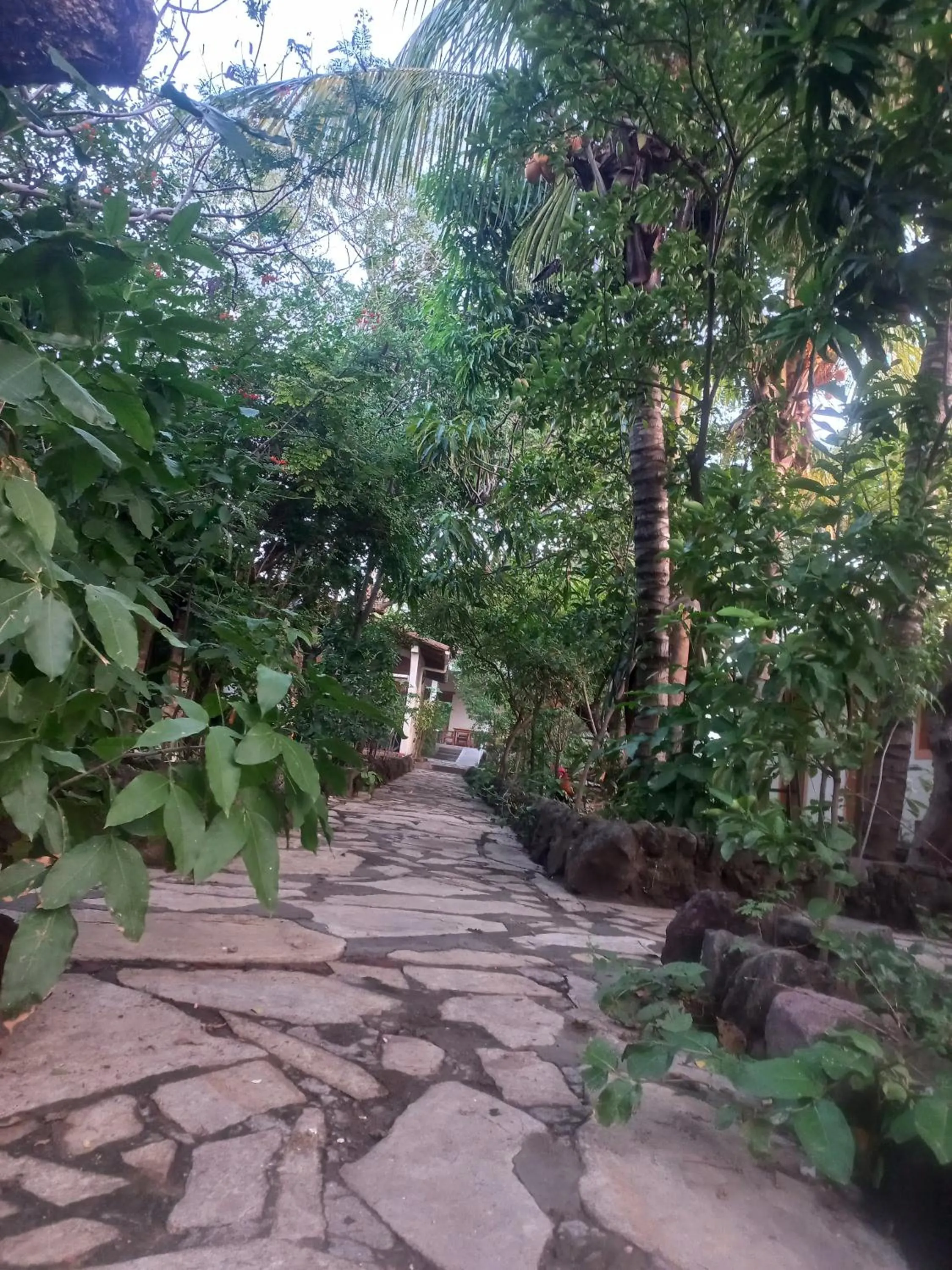 Property building in Hotel Casa Barcelona