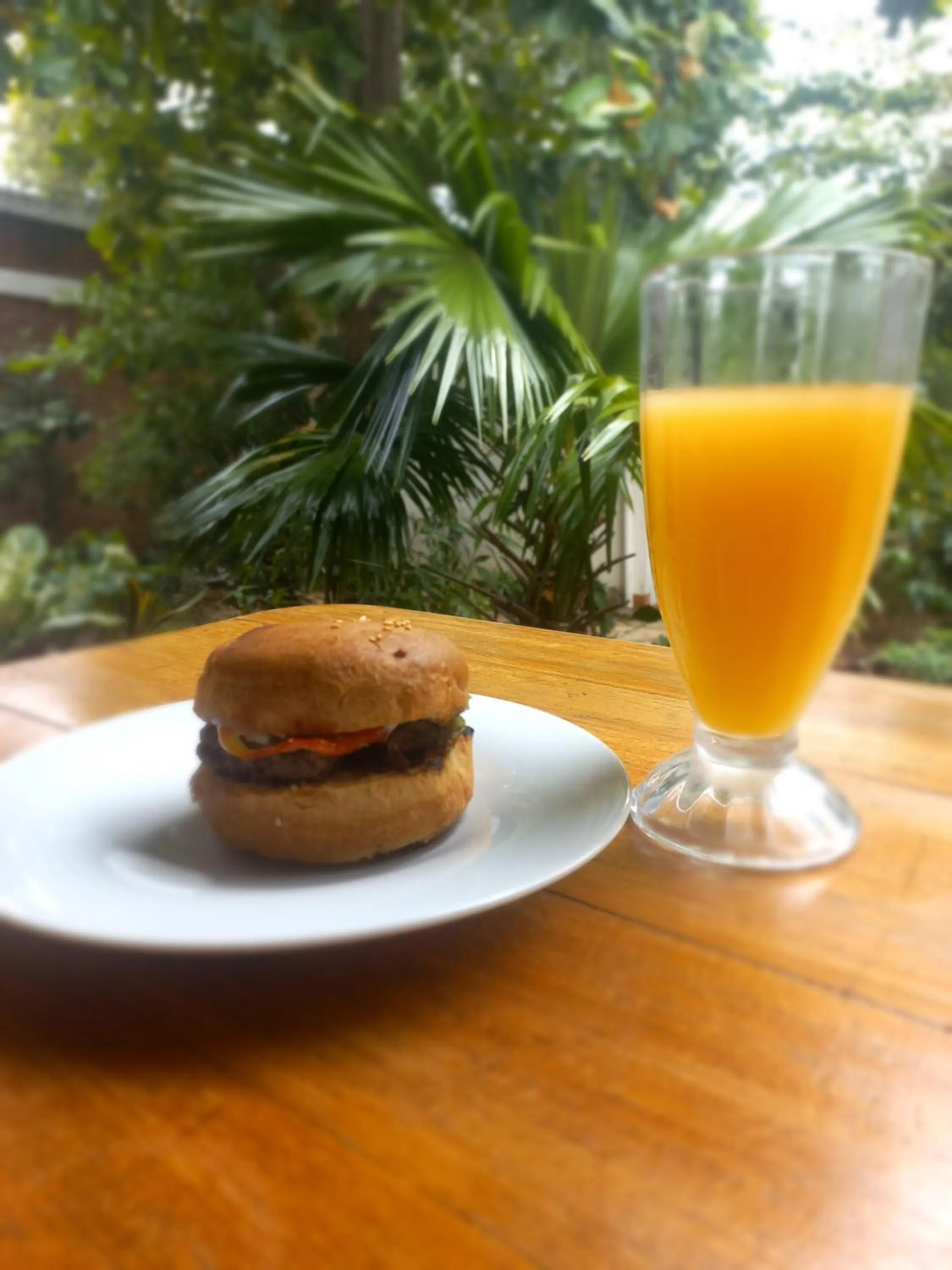Balcony/Terrace in Hotel Casa Barcelona