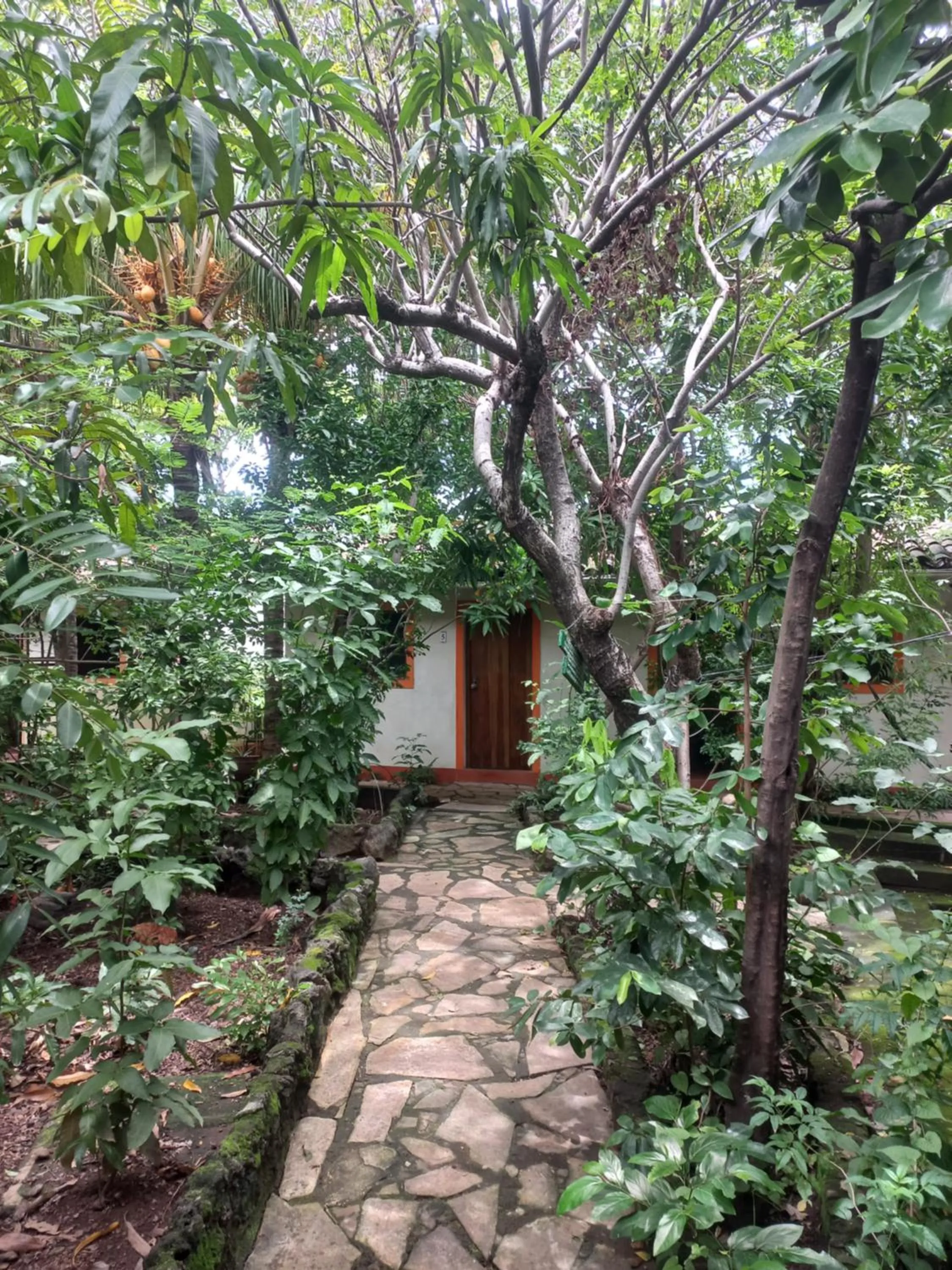 Patio in Hotel Casa Barcelona